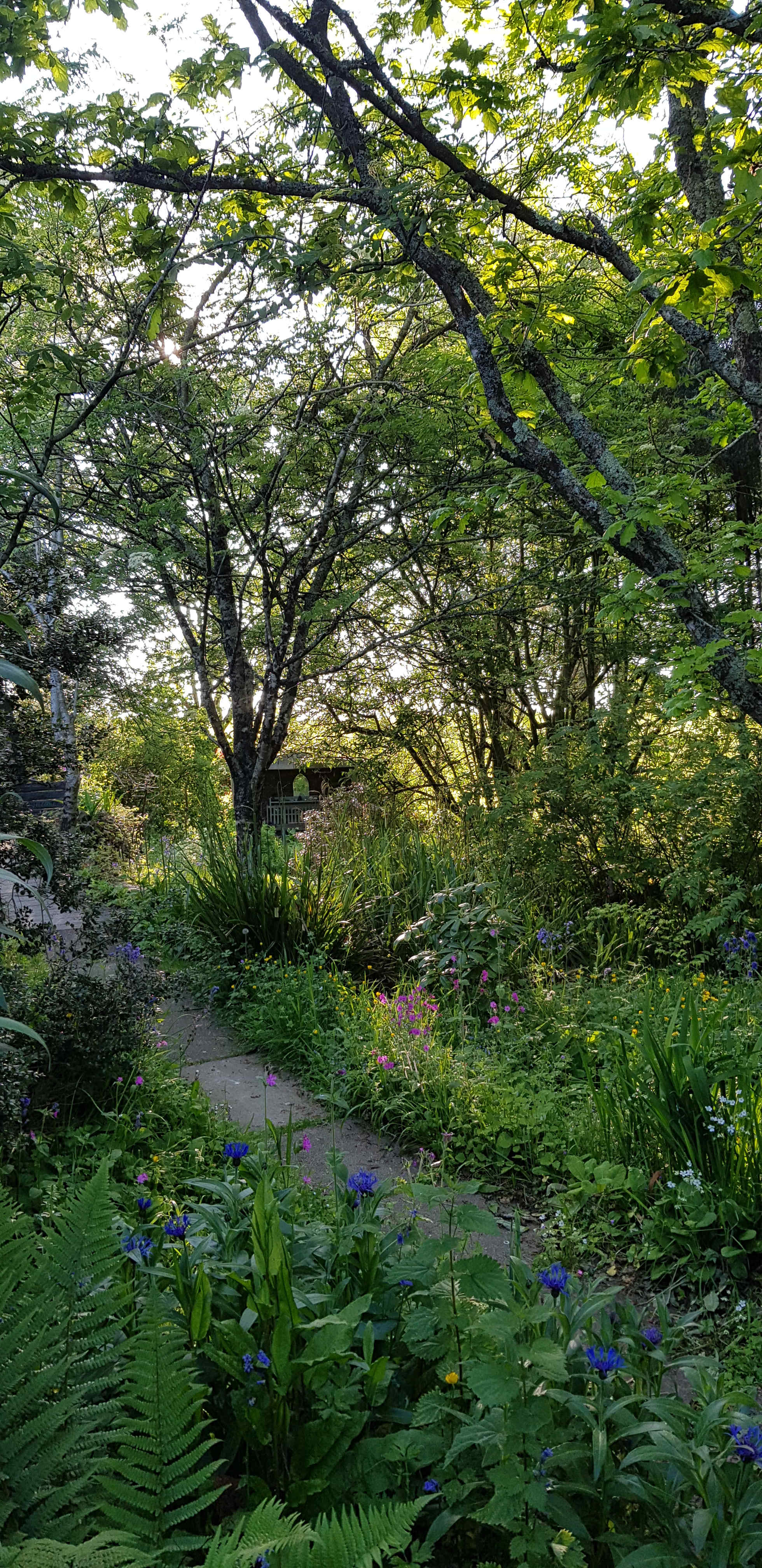 The Greenhouse Spa Retreat
