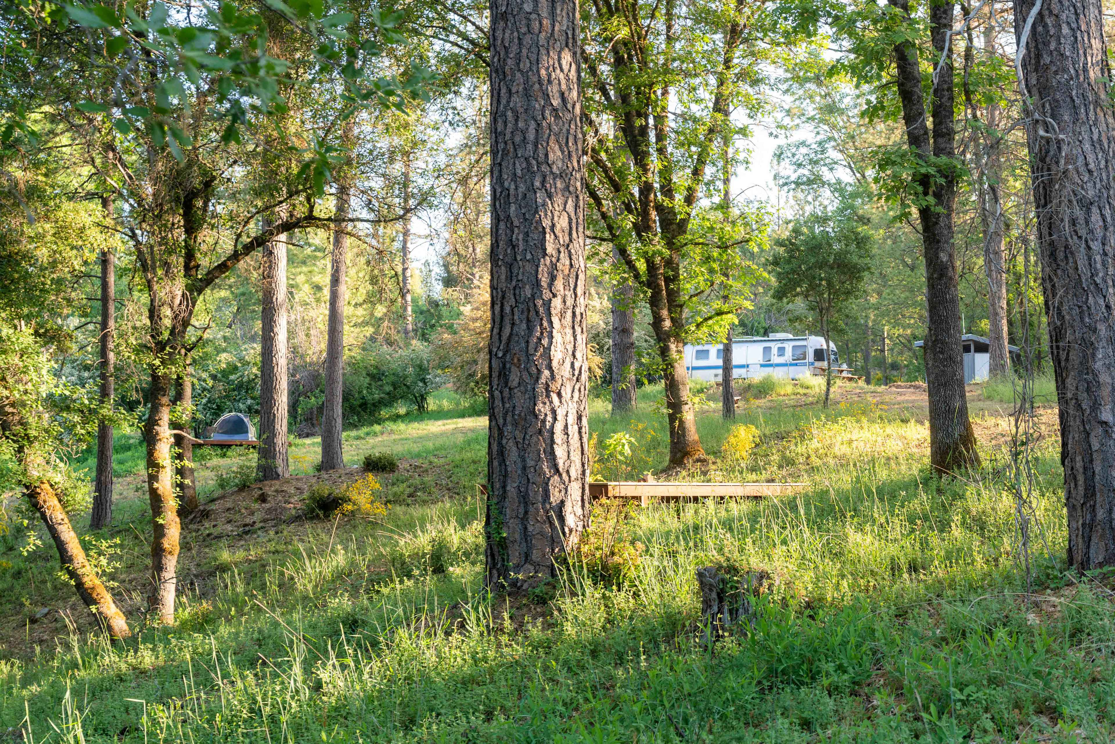 Tent platforms 2 & 3 from below
