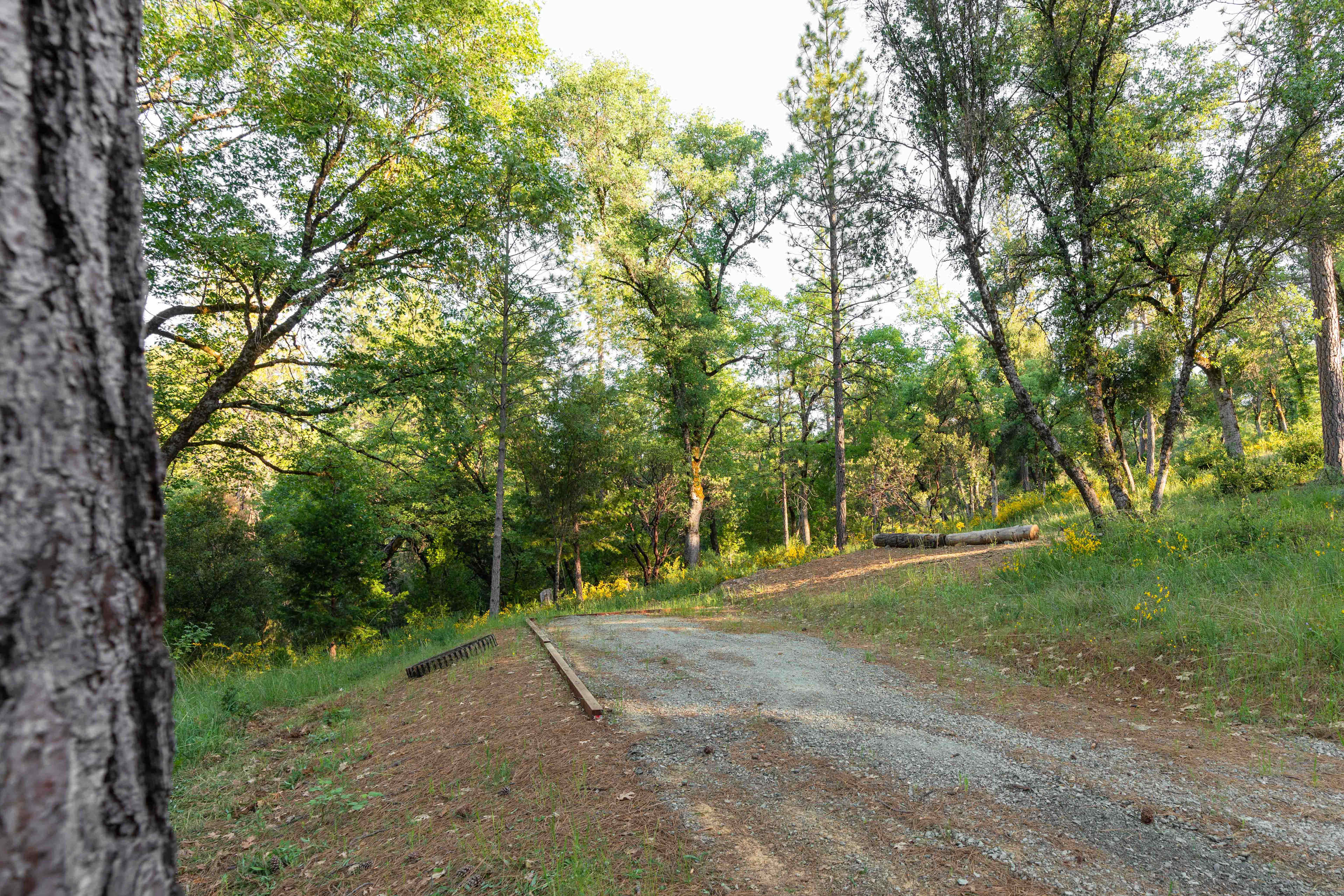 RV pad 1