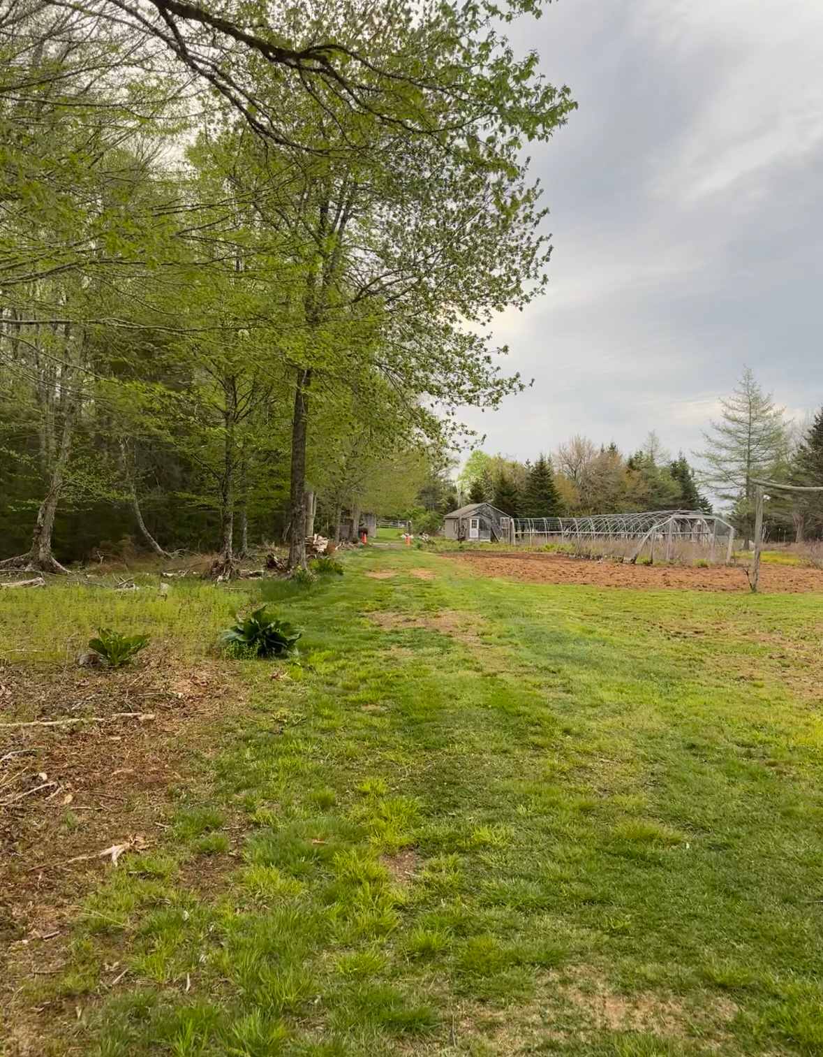 Cabin Creek Farm