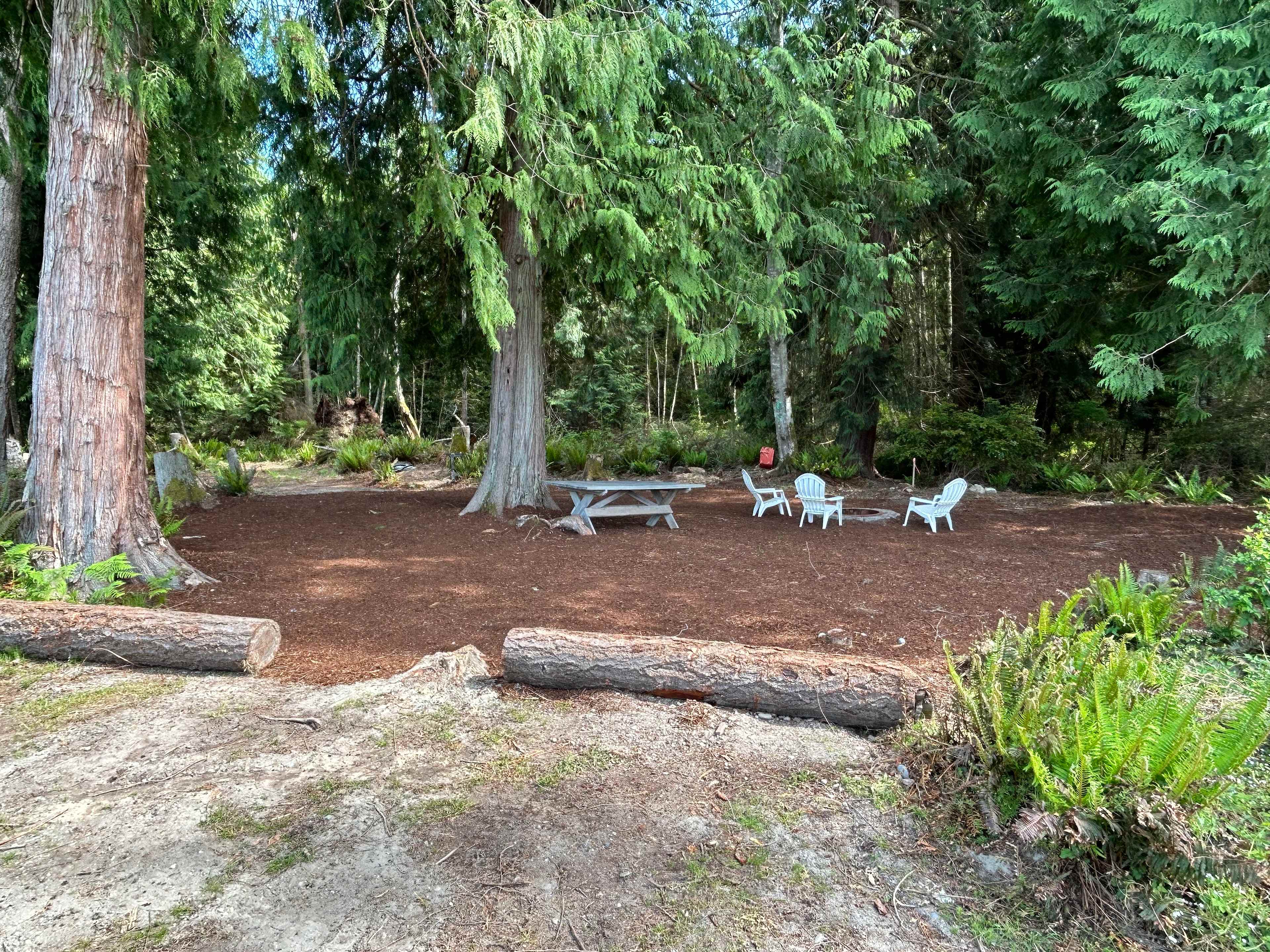 Whidbey Island Christmas Tree Farm