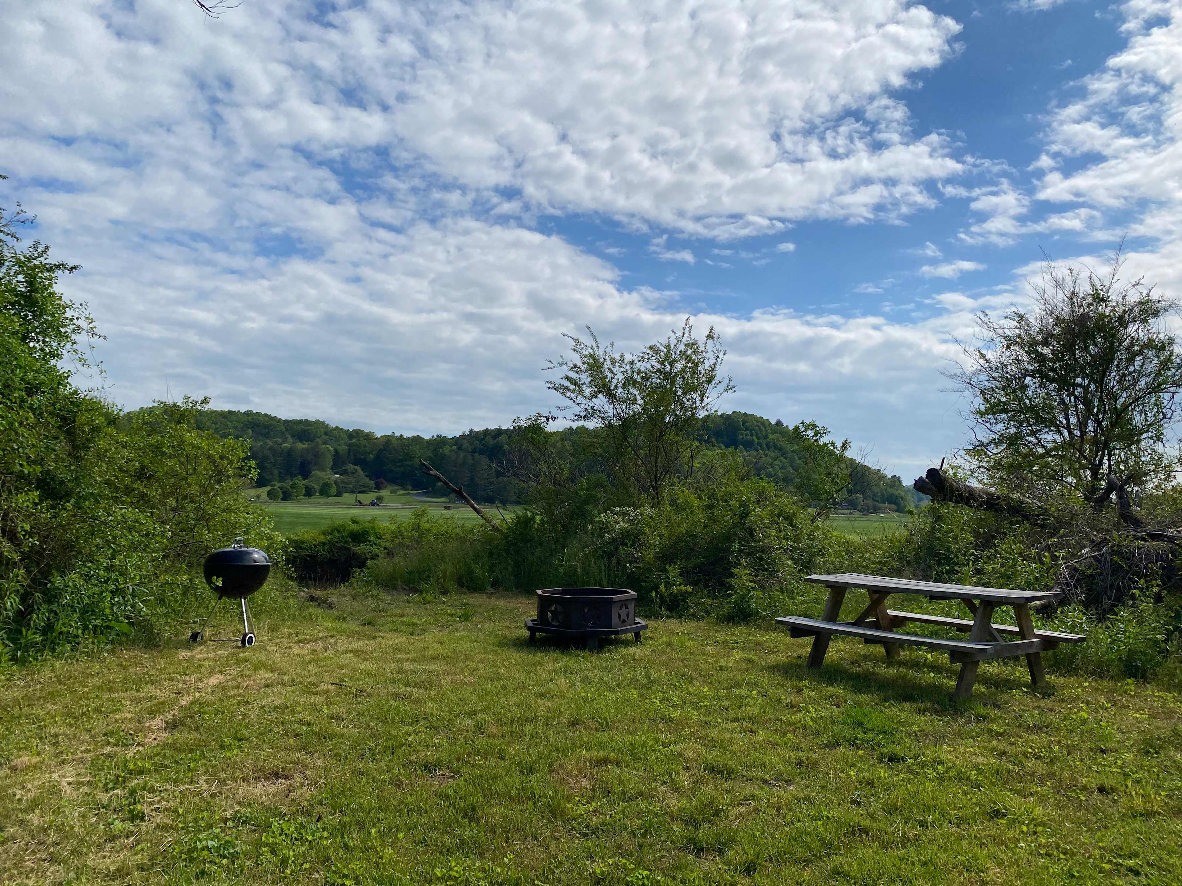 Picture of the site