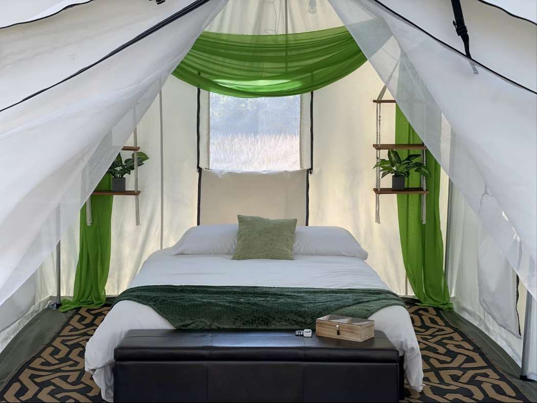 Glamping @ Lake Louisa