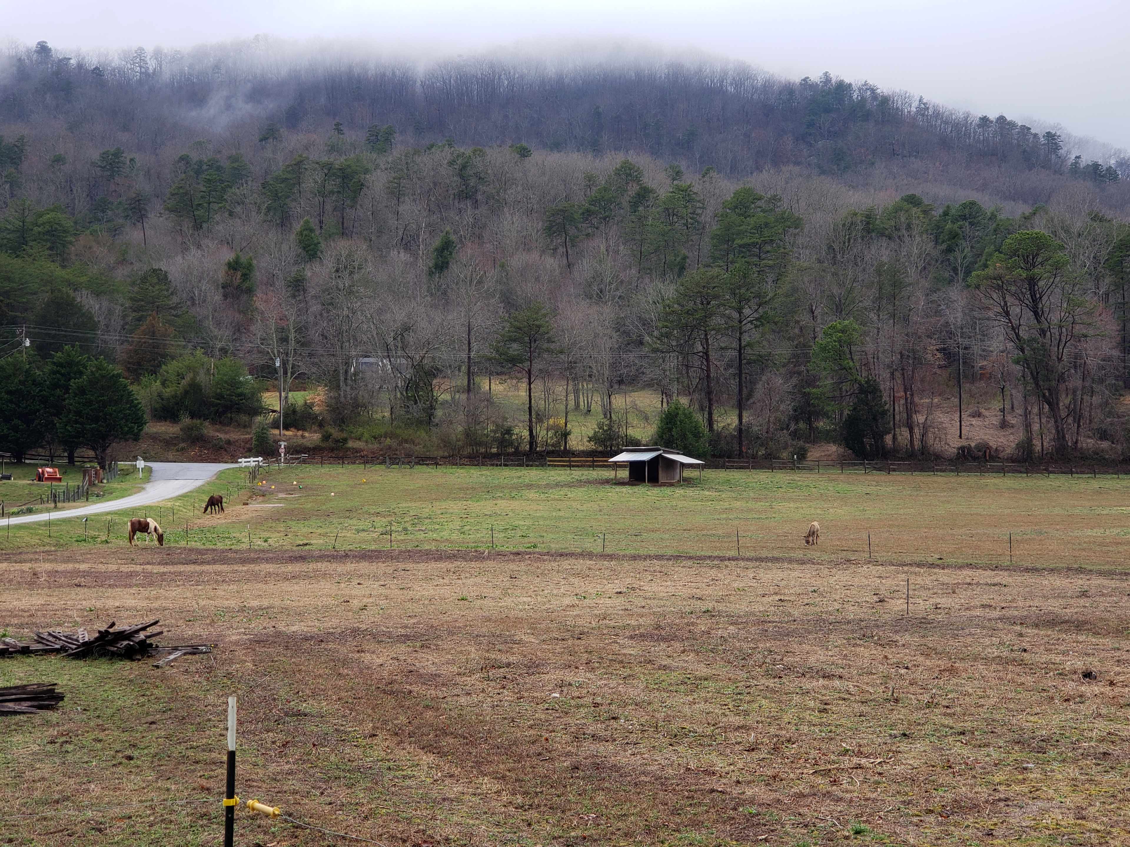 Kdar farm