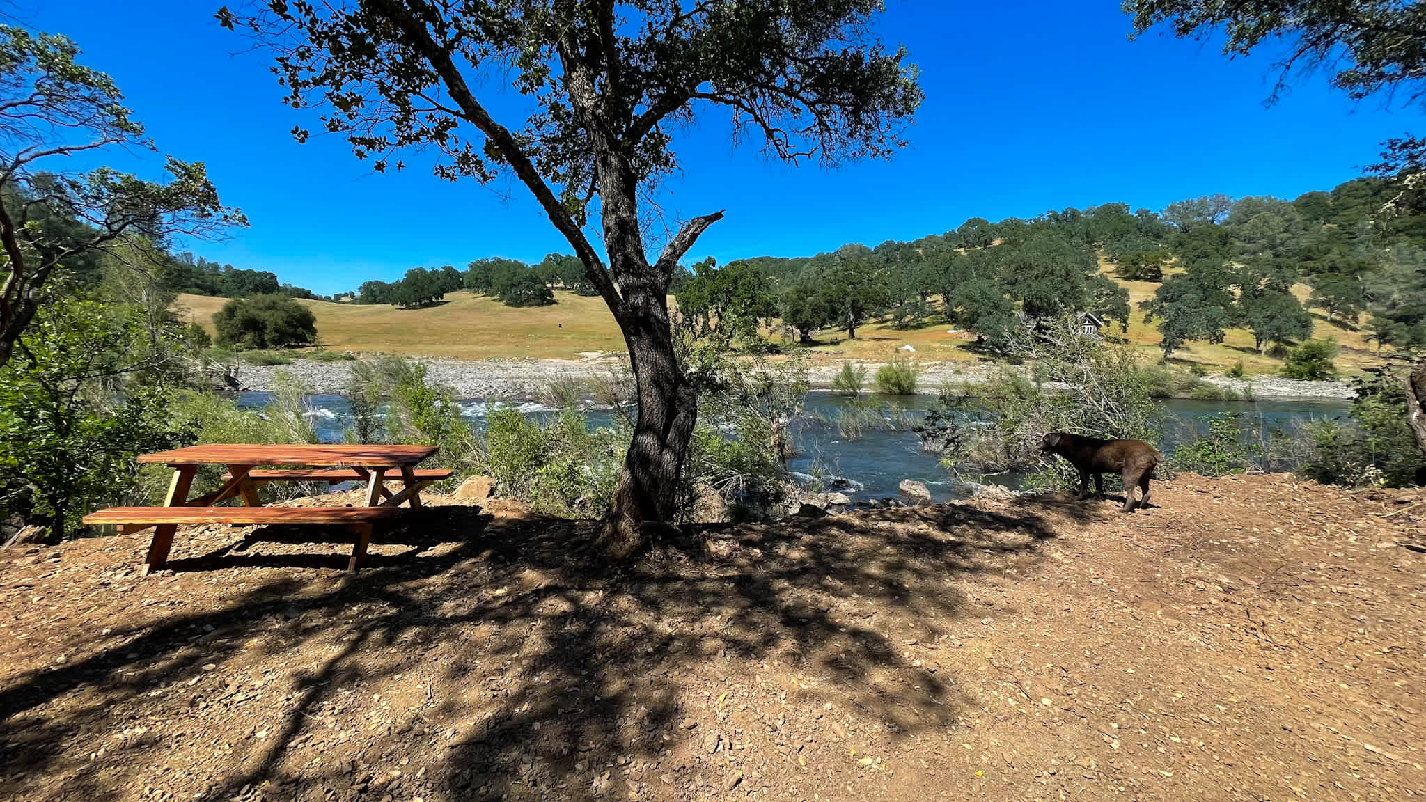 Cosumnes River Ranch