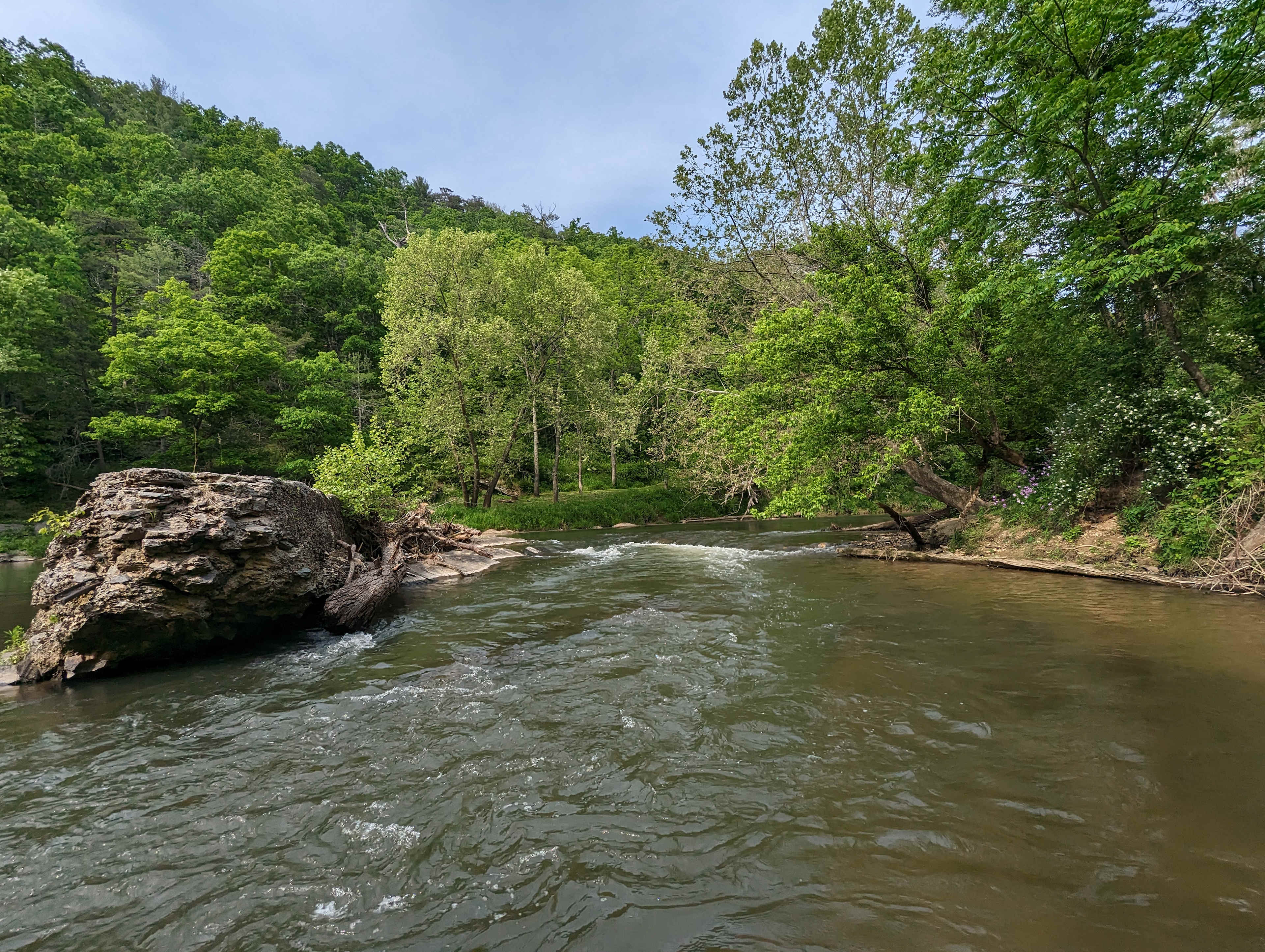 The River's Edge