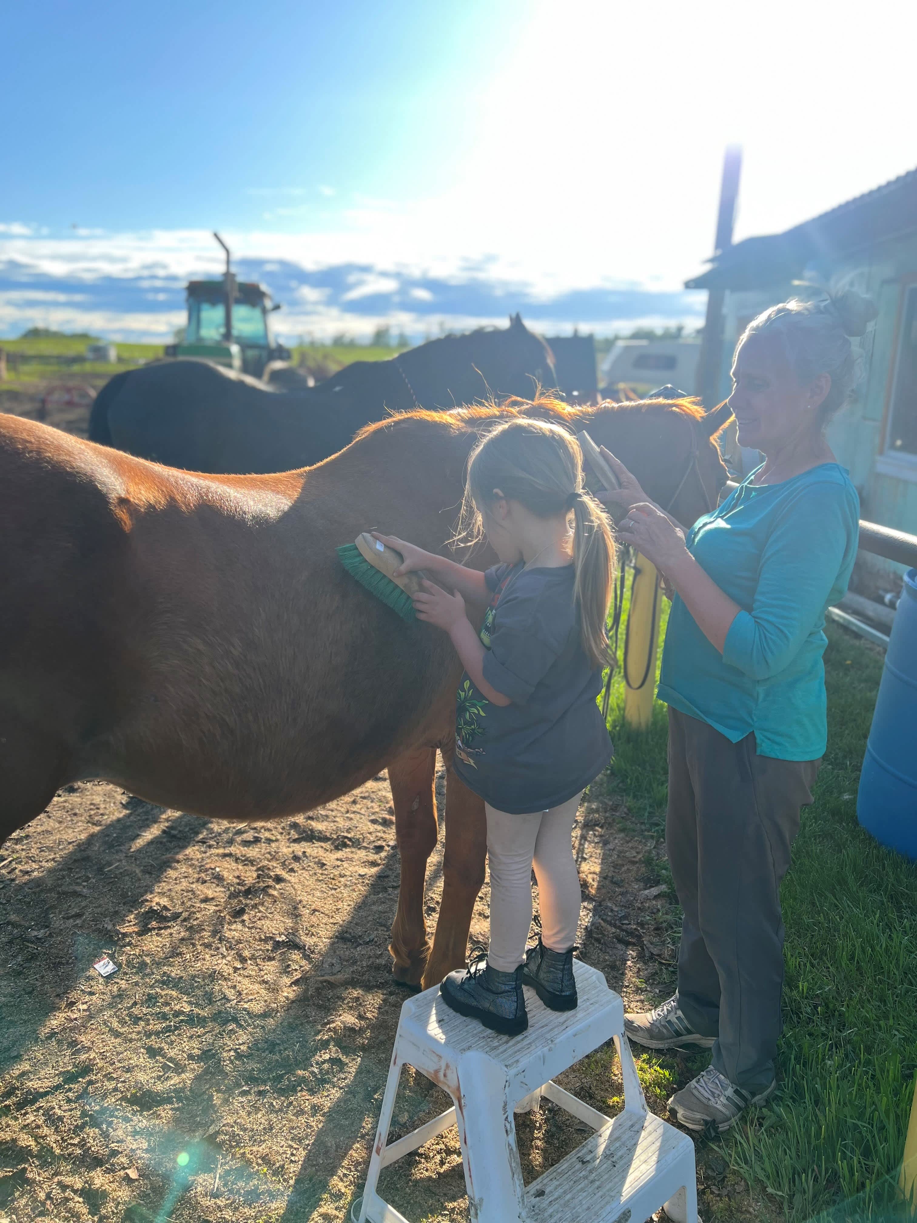 post ride brushing for Red 