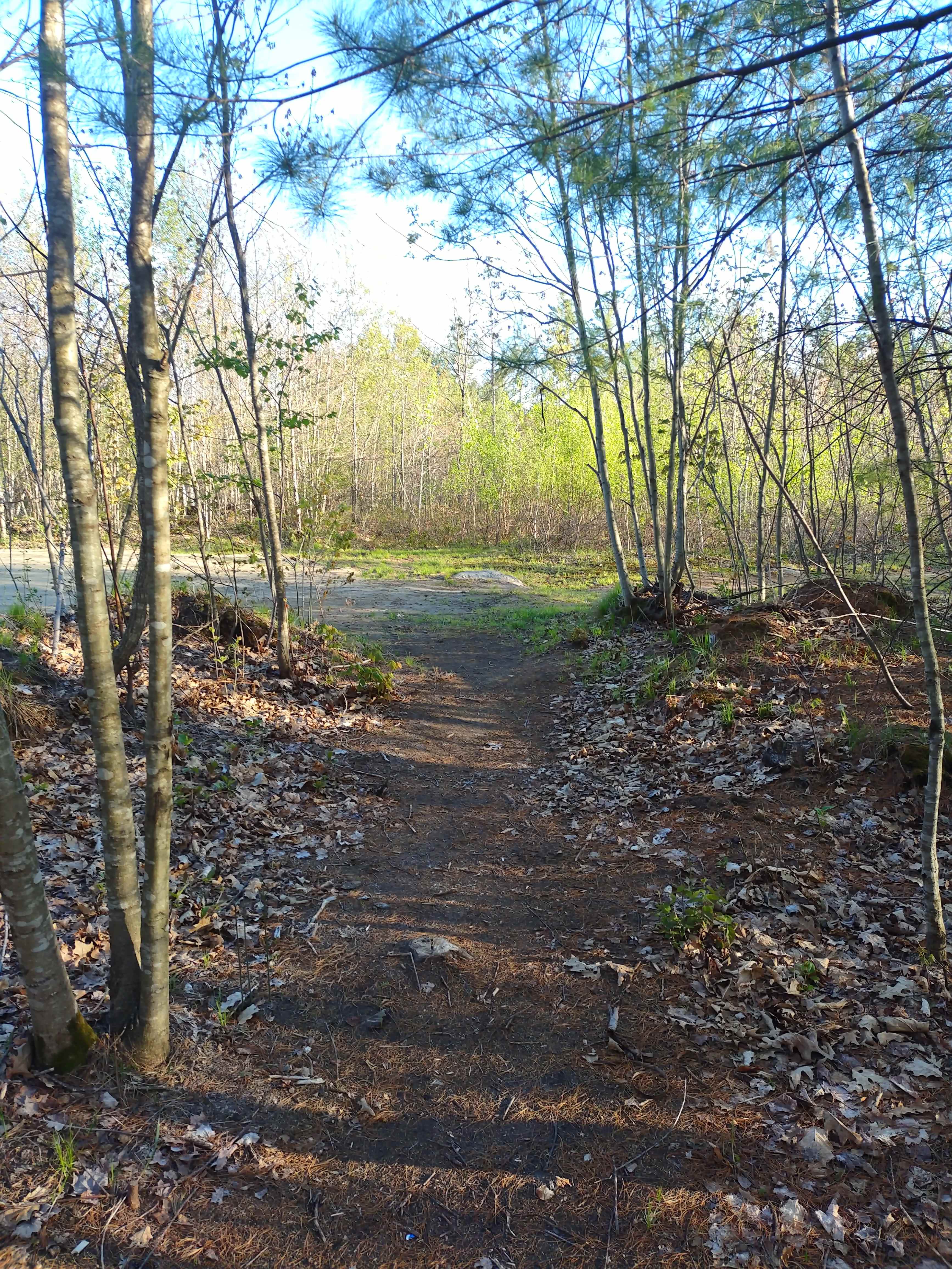 Camp David, path to Parking from tent and picnic area nestled in the trees for maximum privacy.