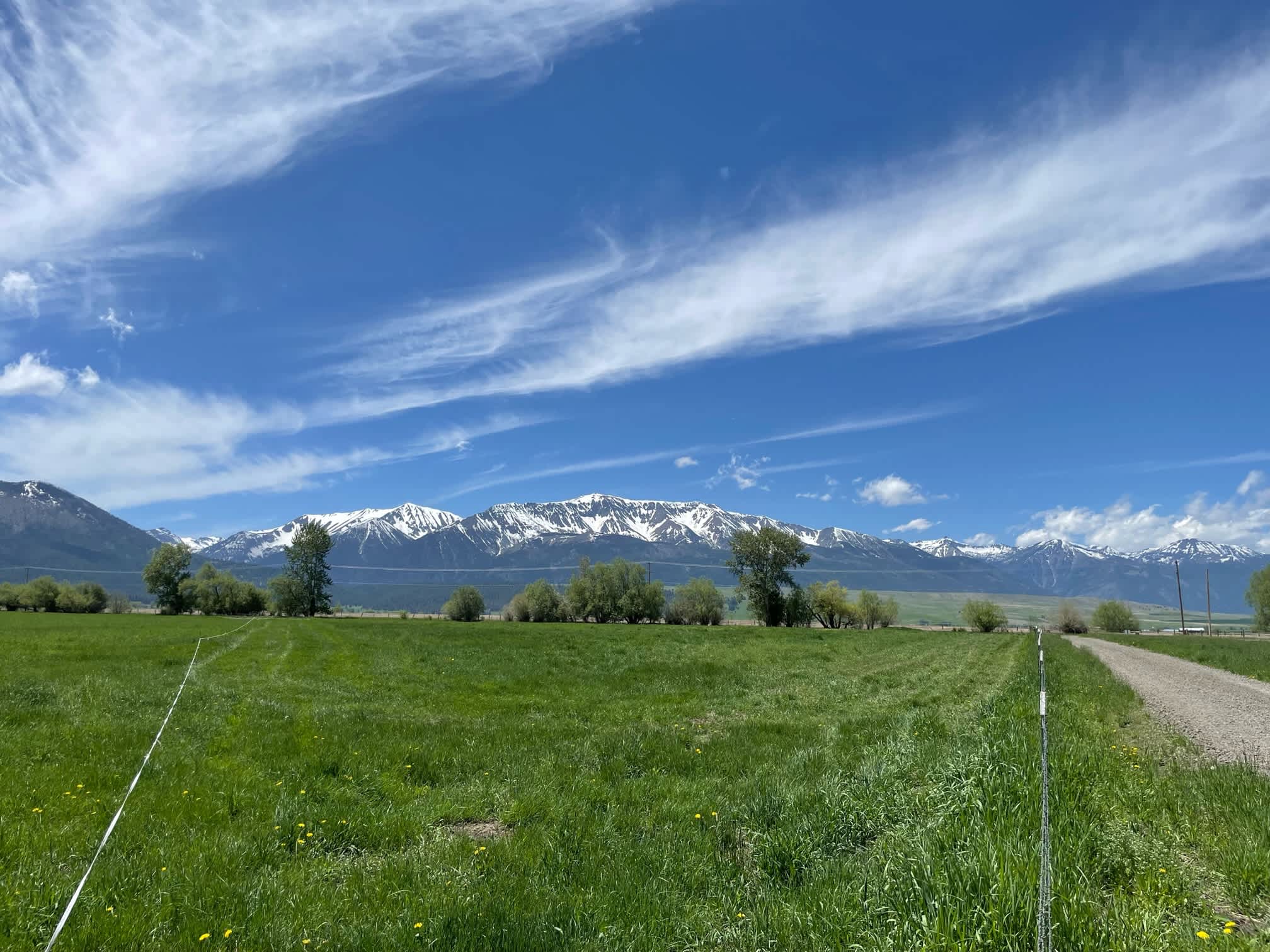 Fluit Farms