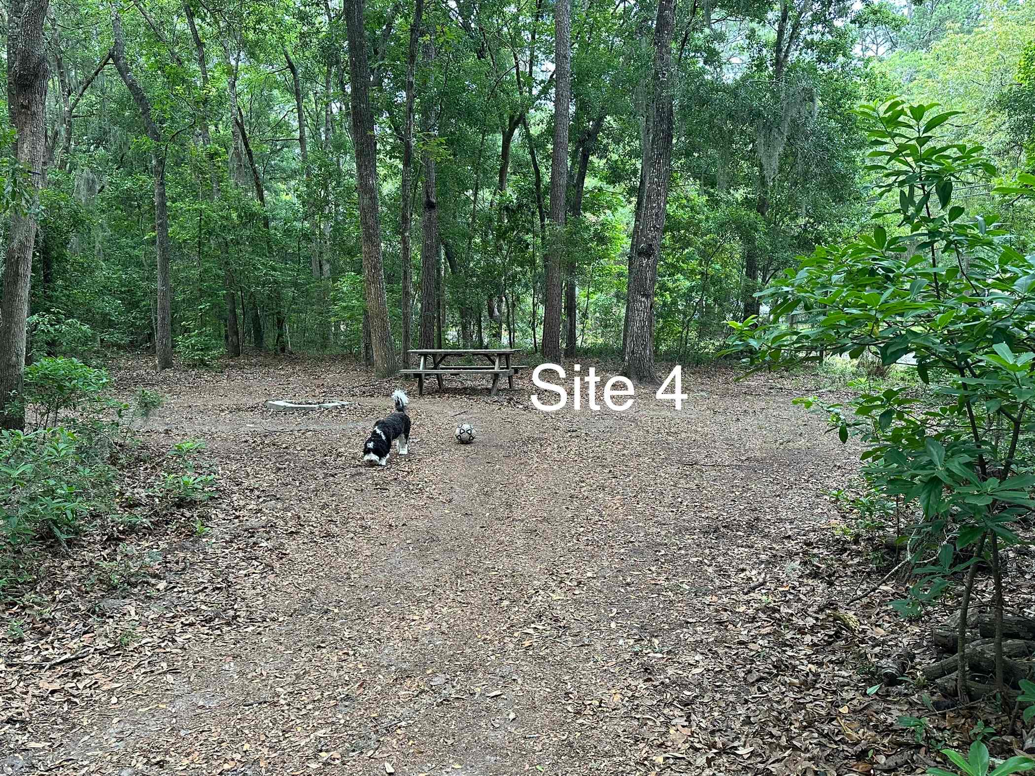 Site 4 has its own picnic table, fire pit and electricity.
