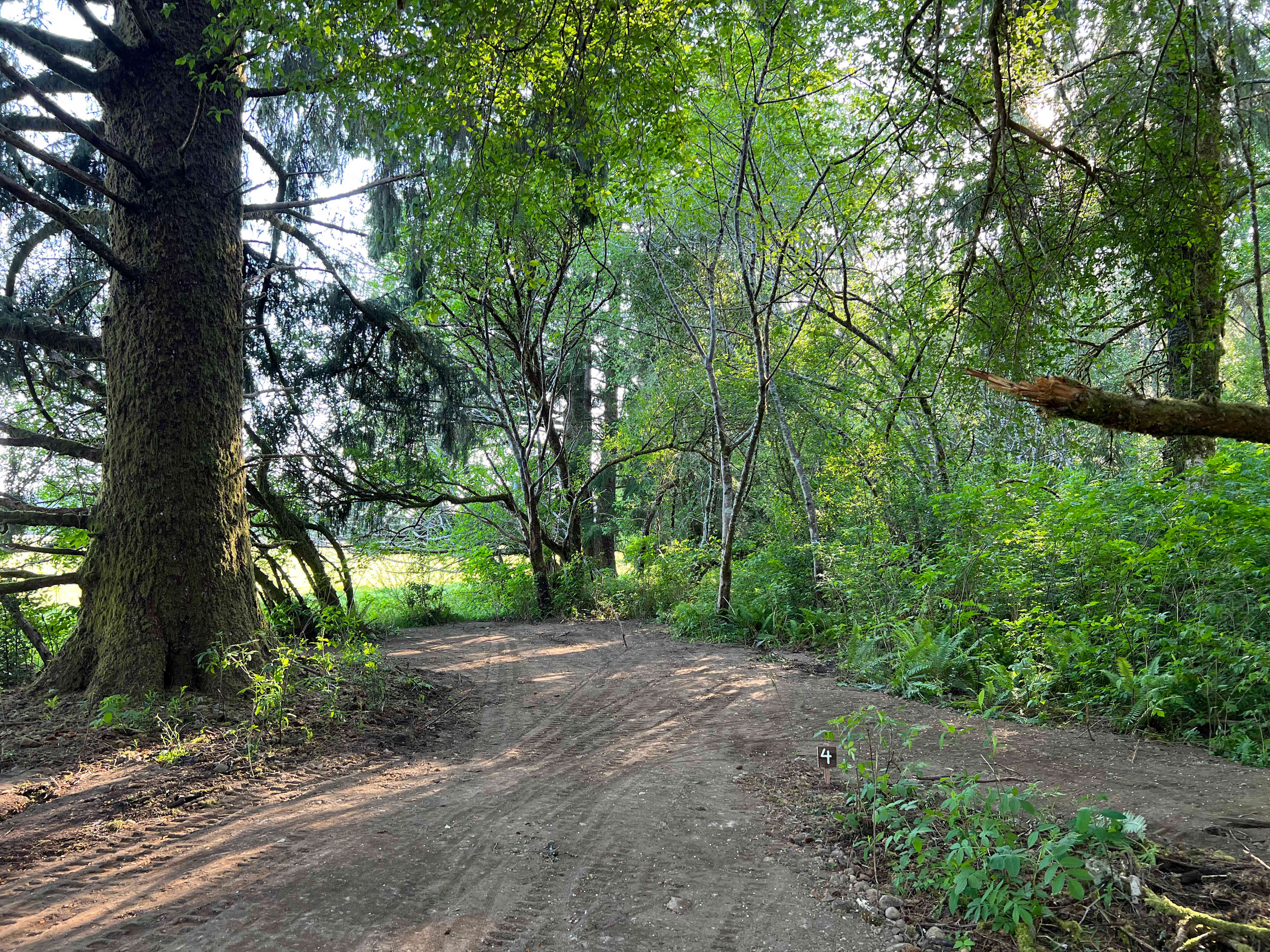 Campsite 4 is tucked away with a beautiful view of the cow field.