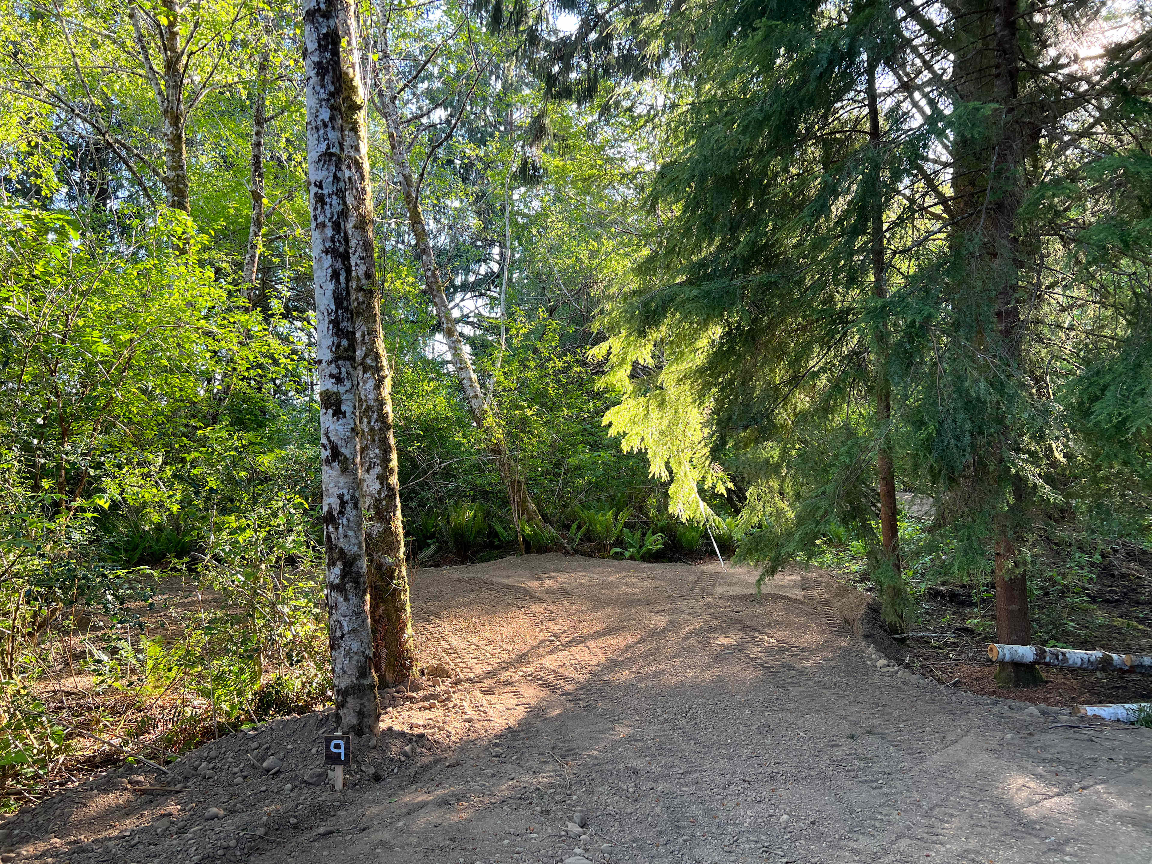 Wandering Woodlands