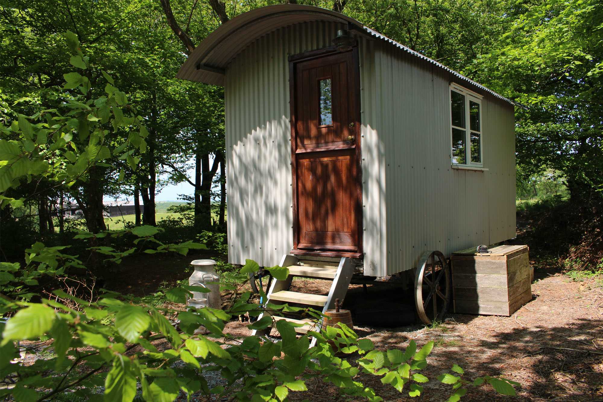 Private woodland in a shepherds hut