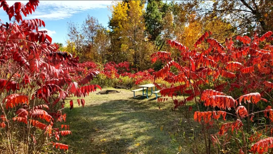 Prairie Creek Campground