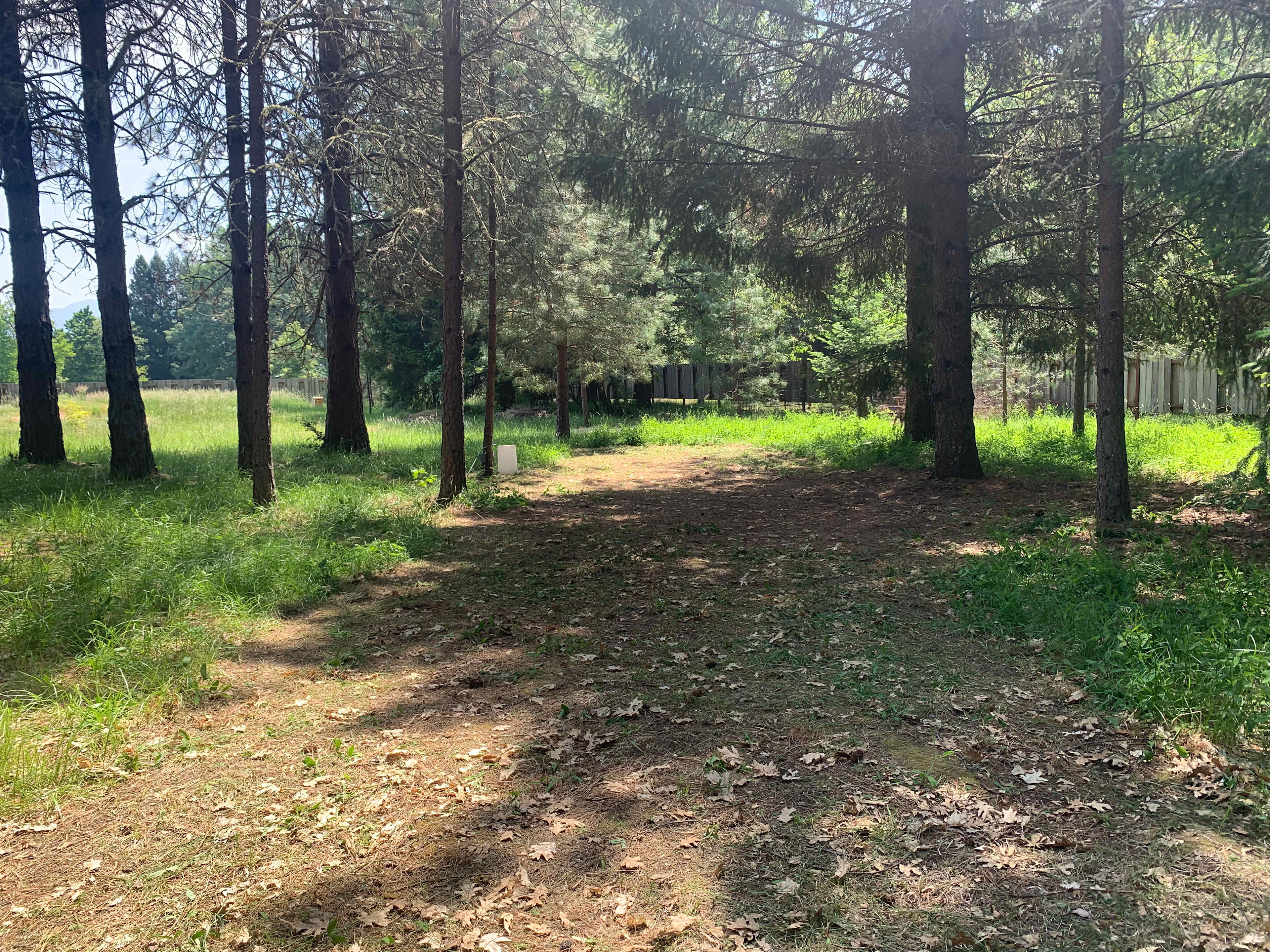 Ecotone Oasis