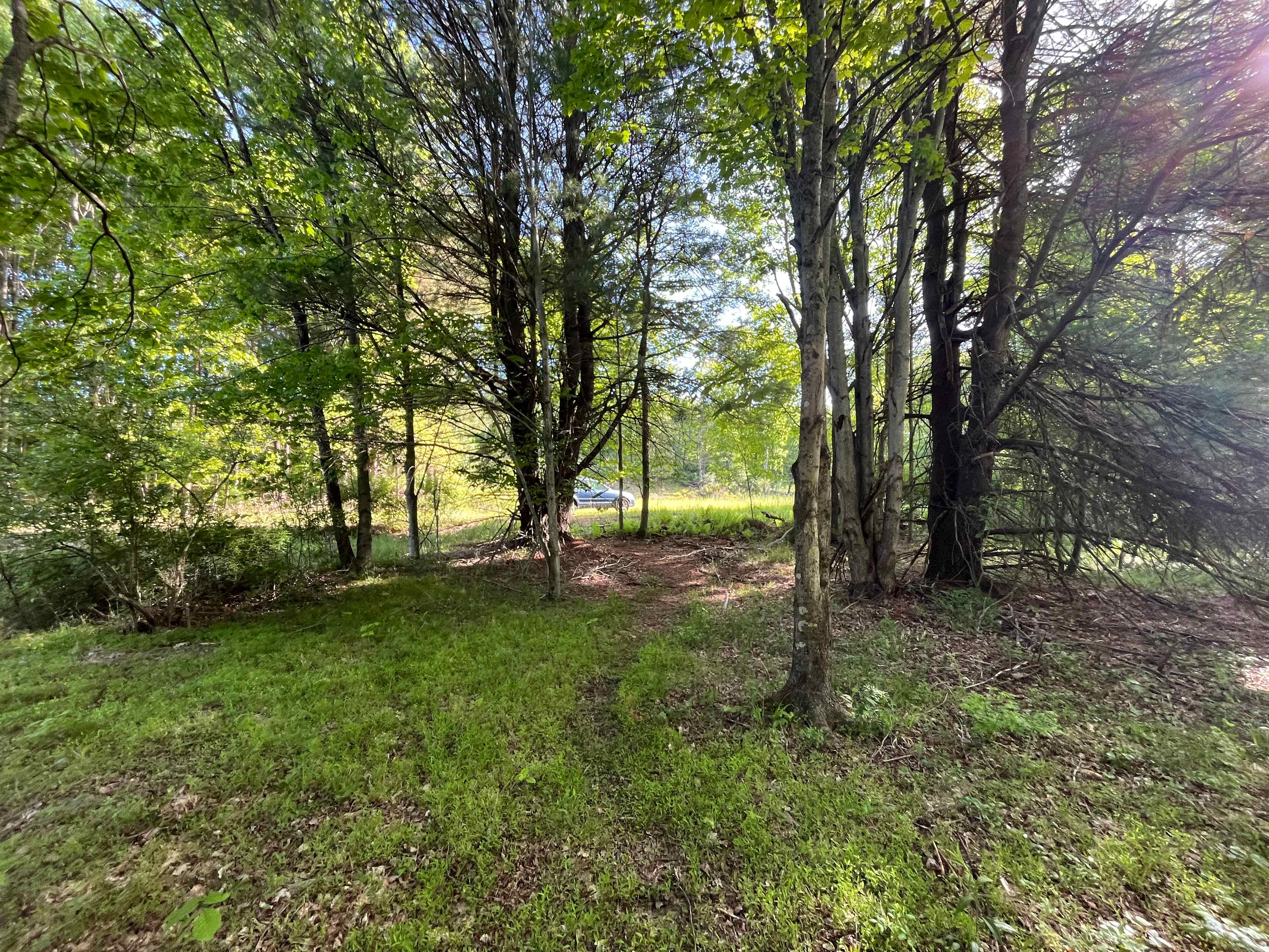 Path from car parking to shed 