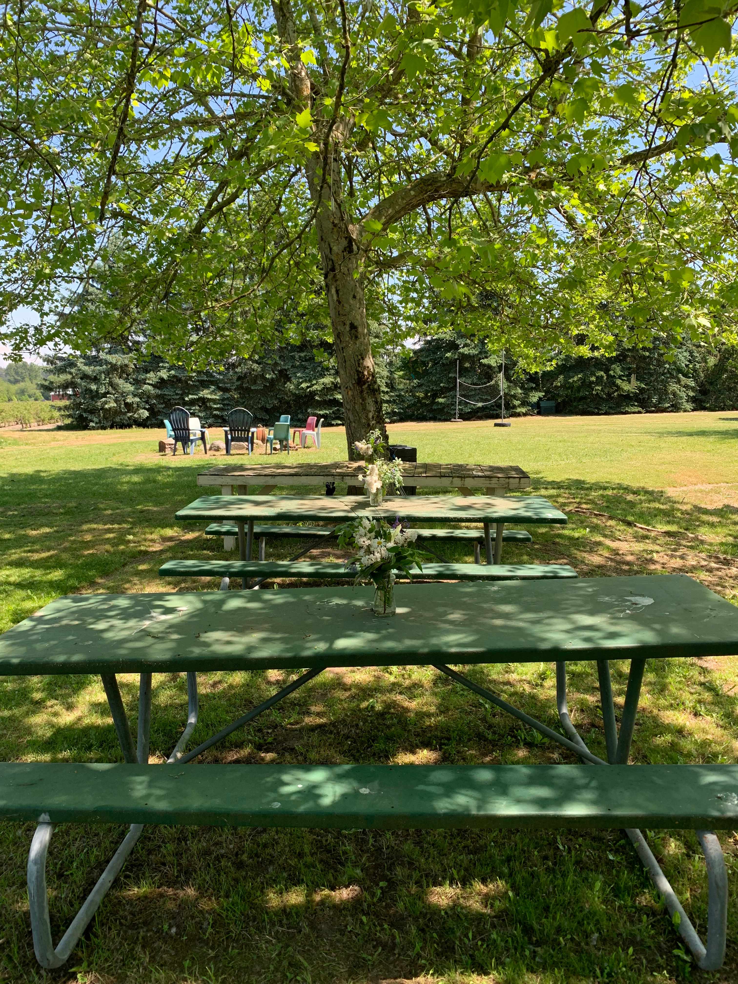 3 large picnic tables sit in the shade of the trees next to the pond 
