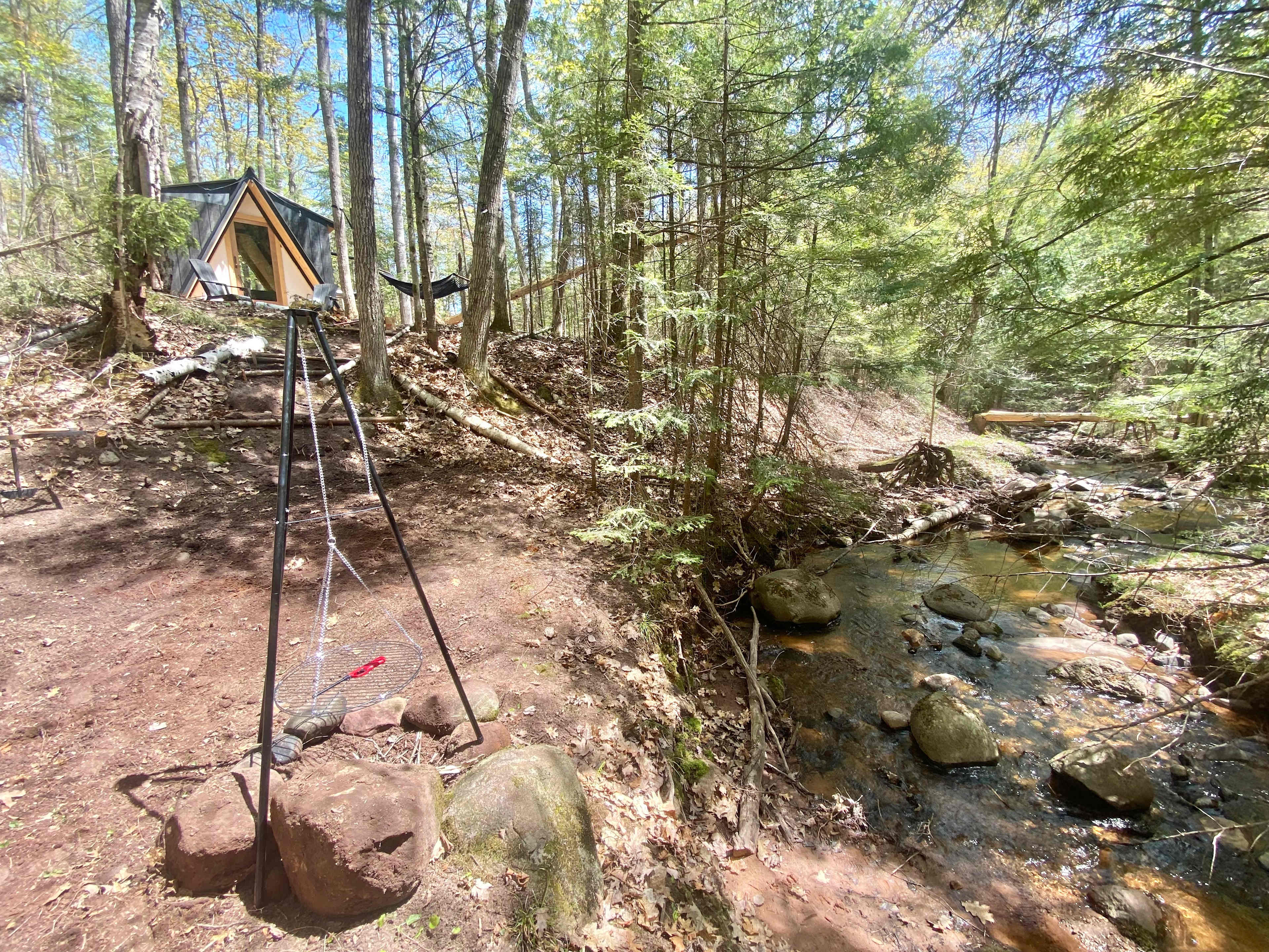 Picture of the site