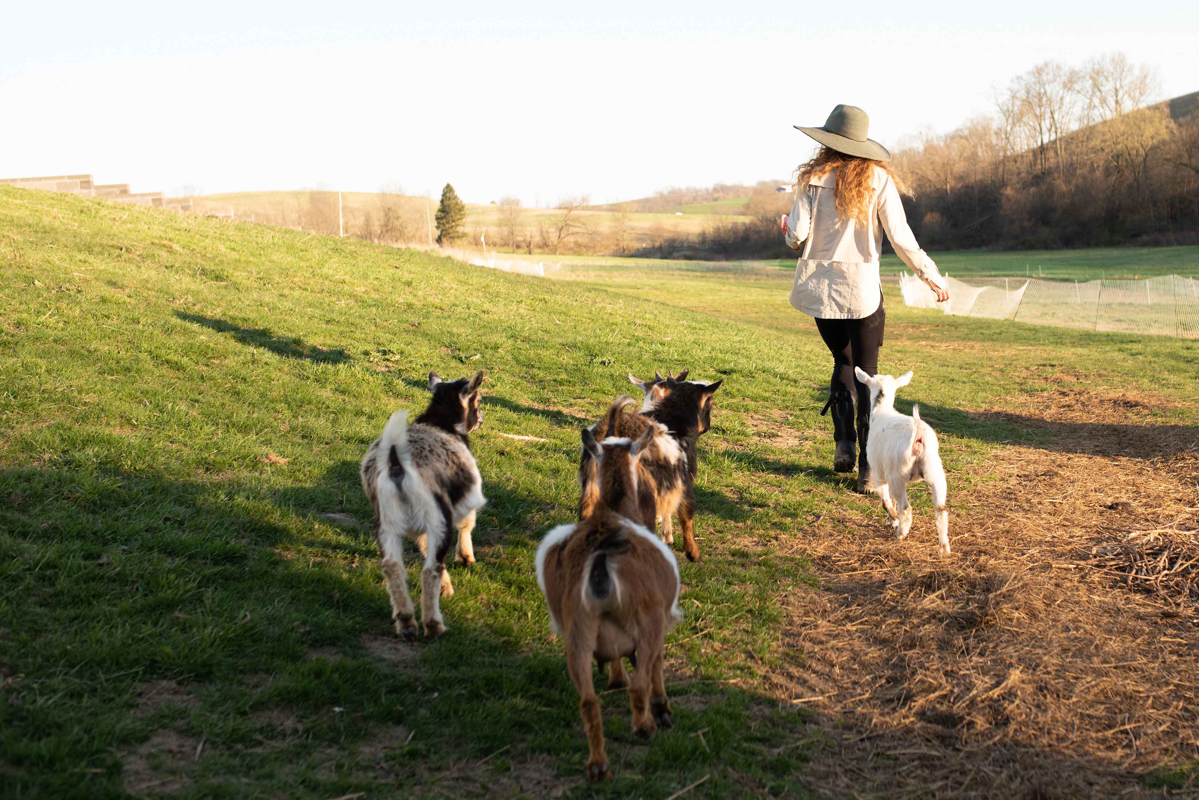 Evelyne’s Farm