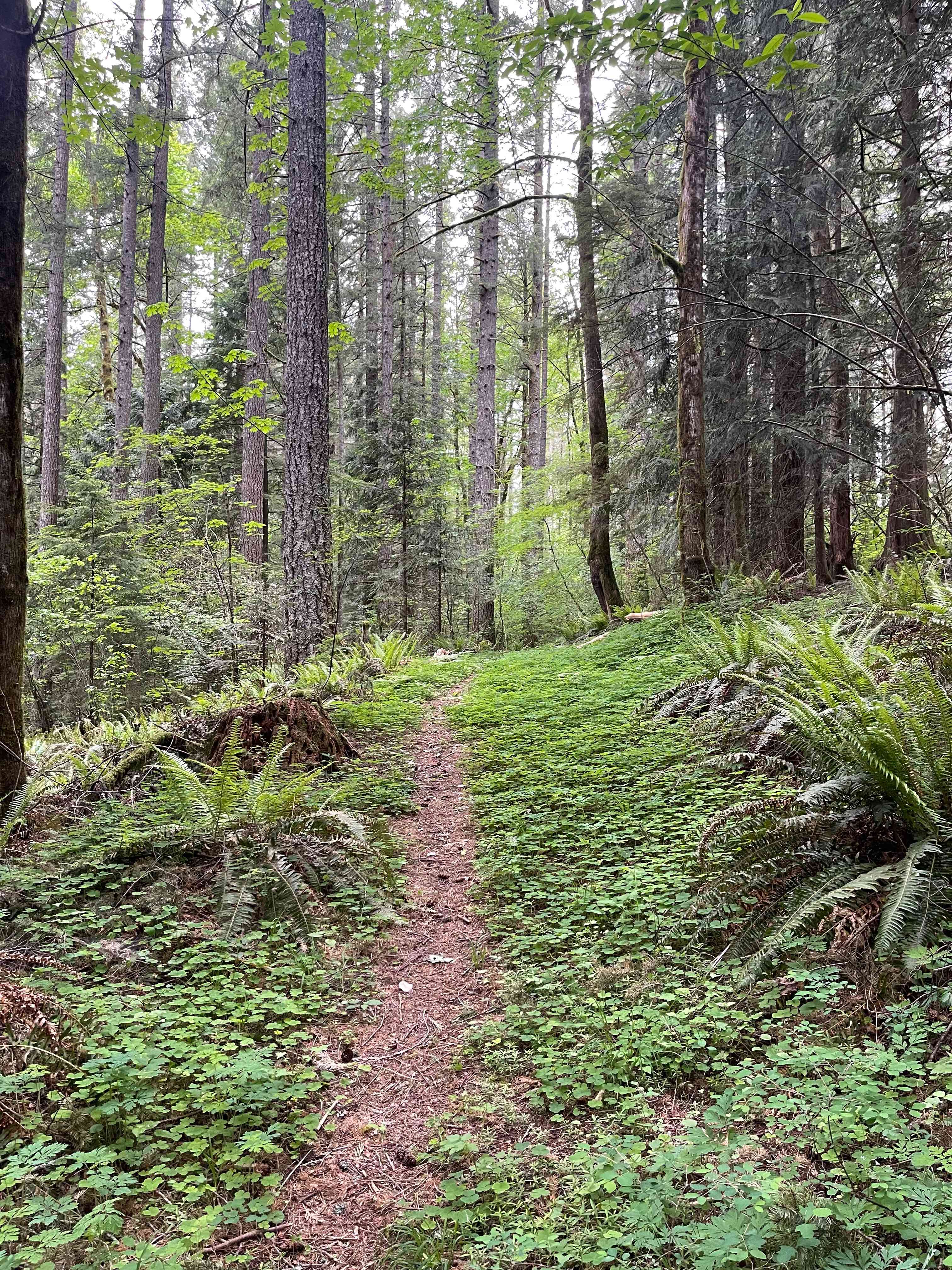 Trail around the property 