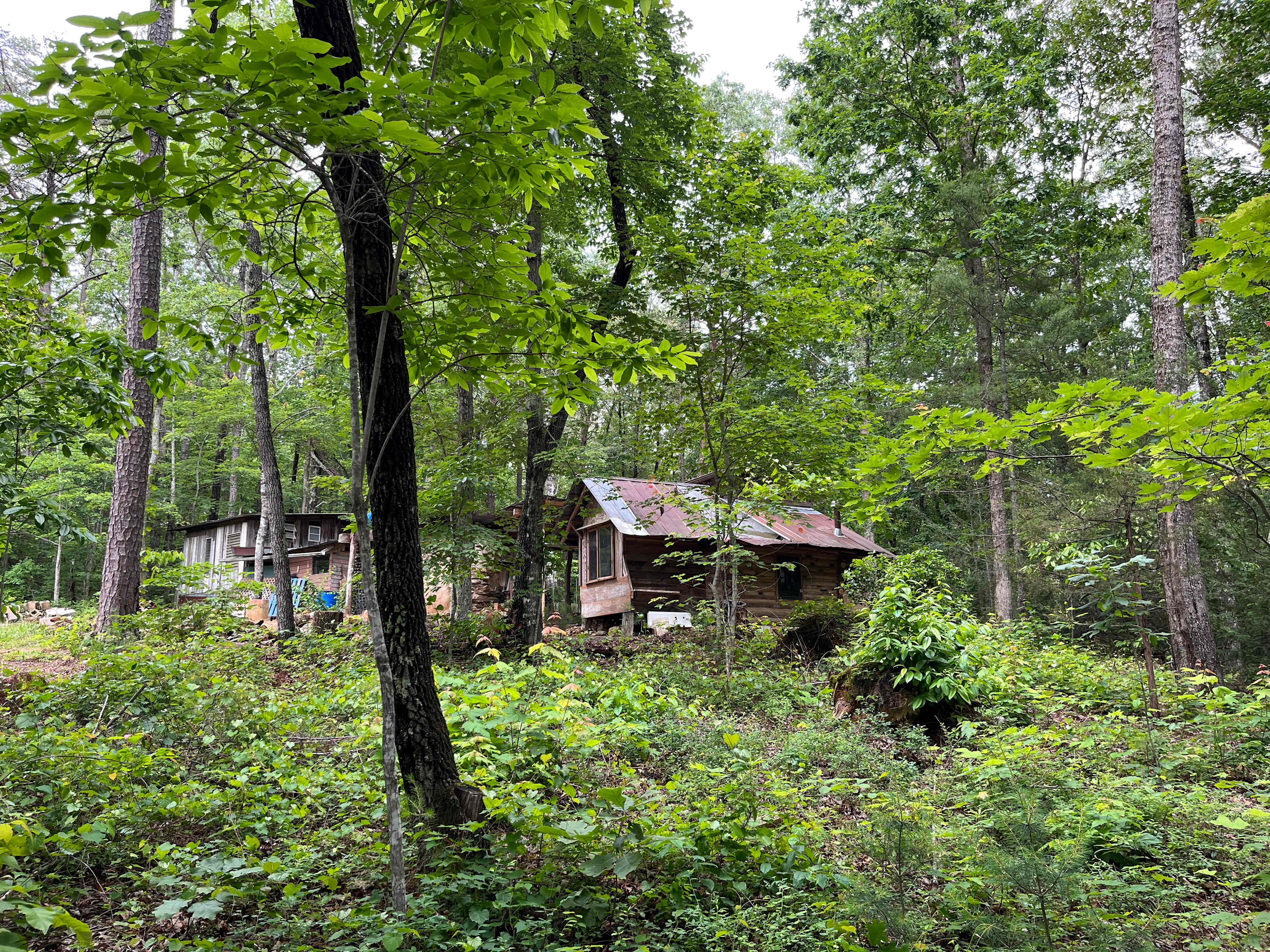 Tumble Down Shack