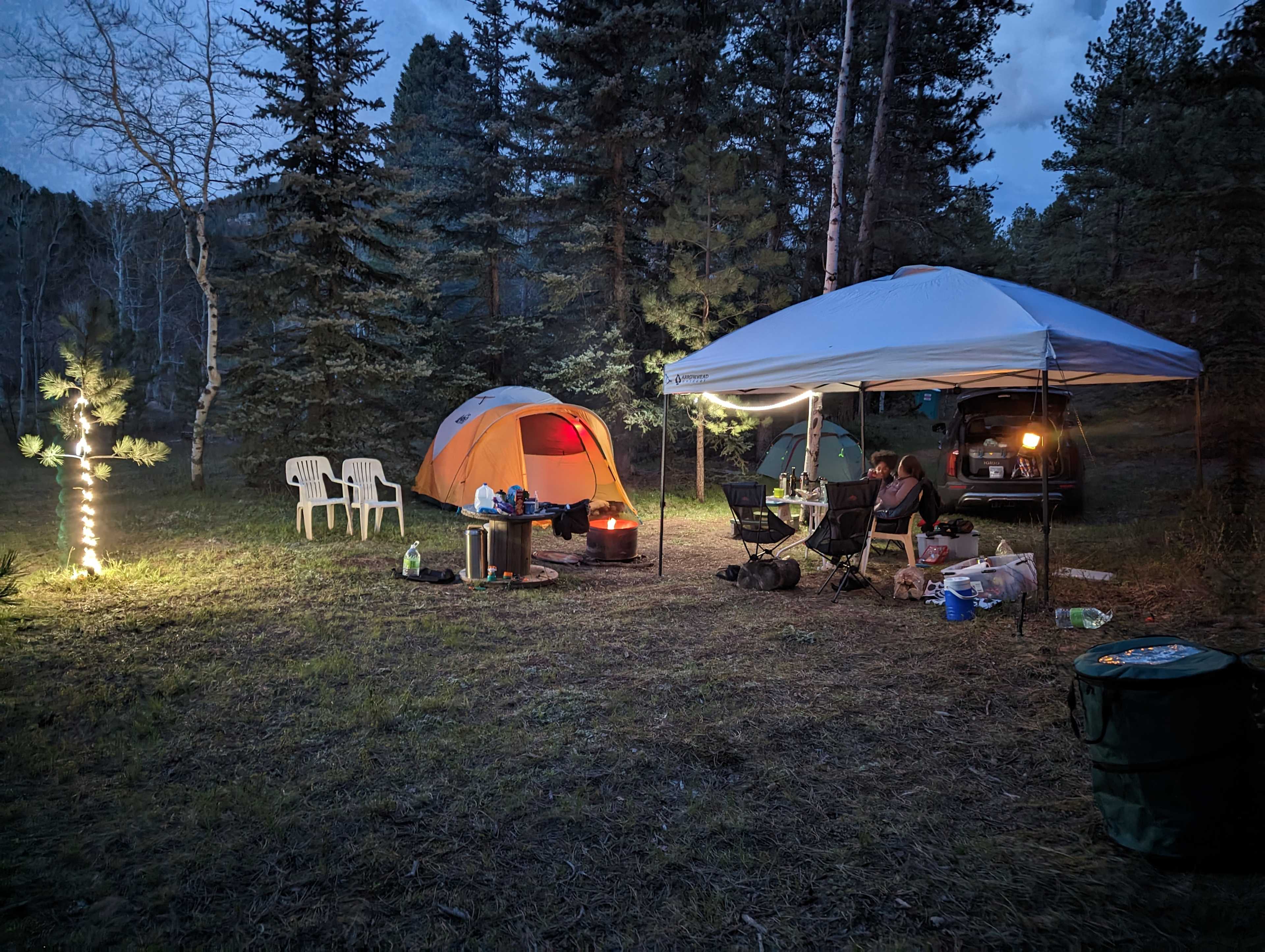 Picture of the site
