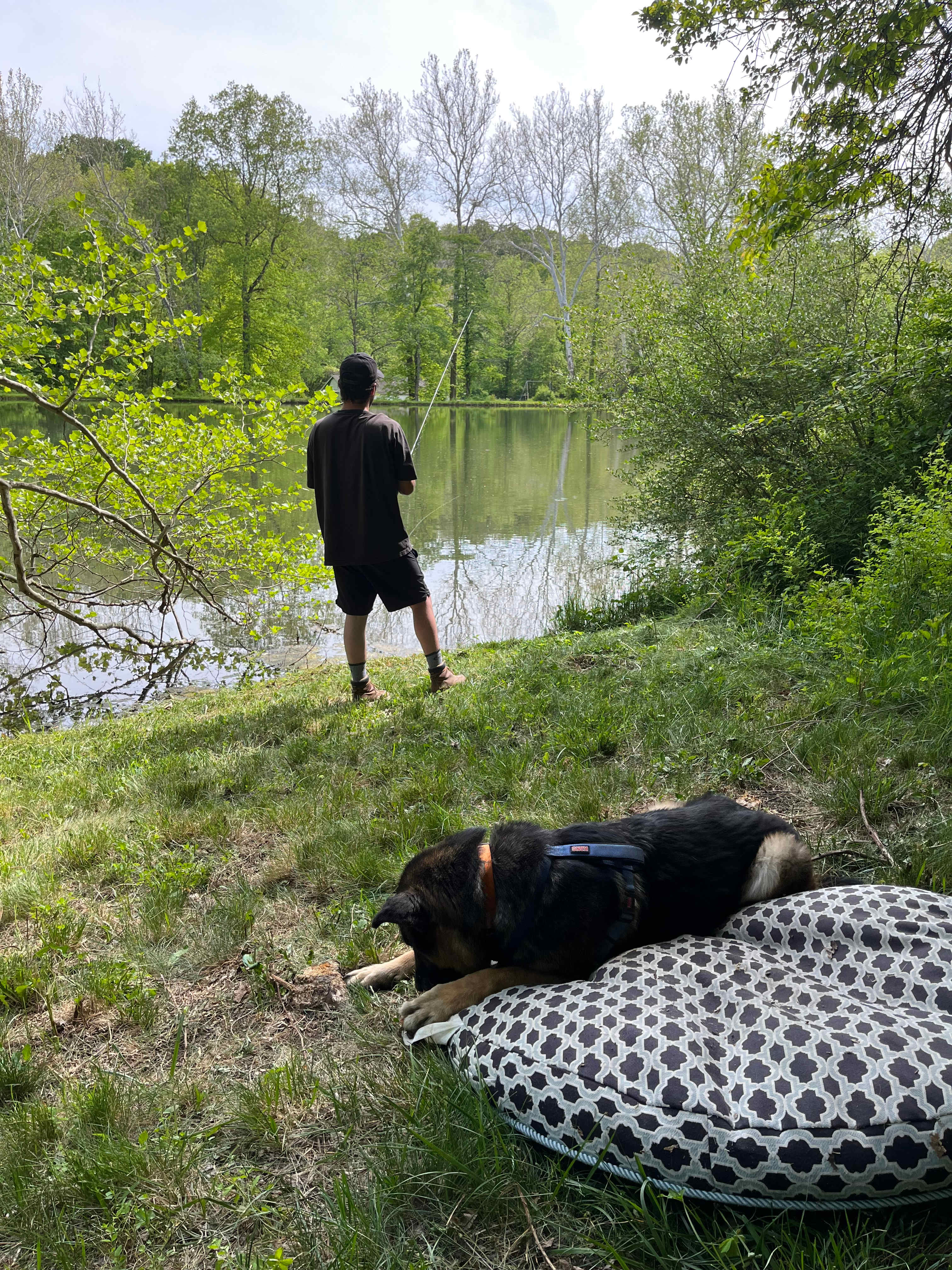 Bass and Buck Tent Adventures