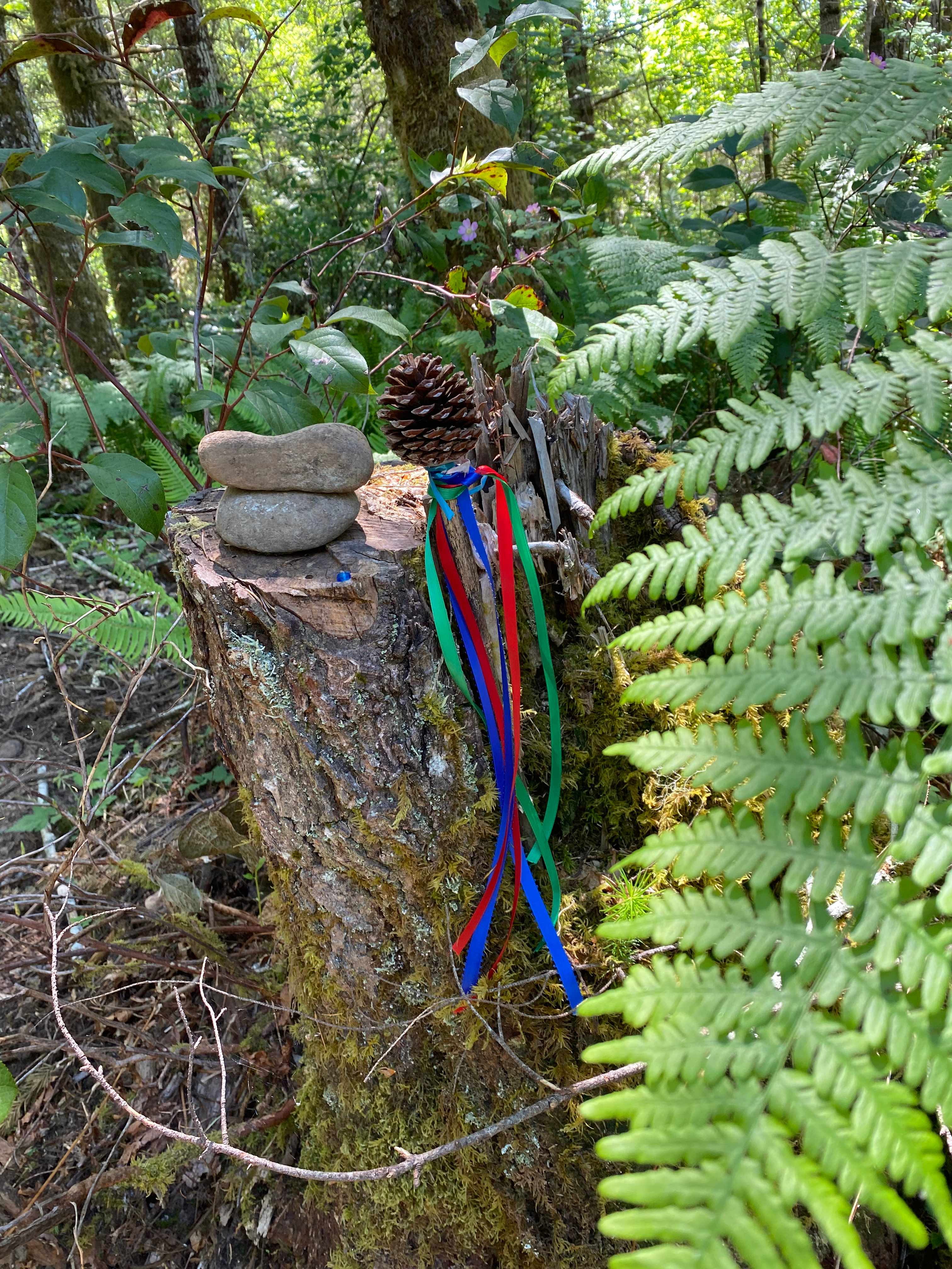 Path to the Dionysian Campsites 