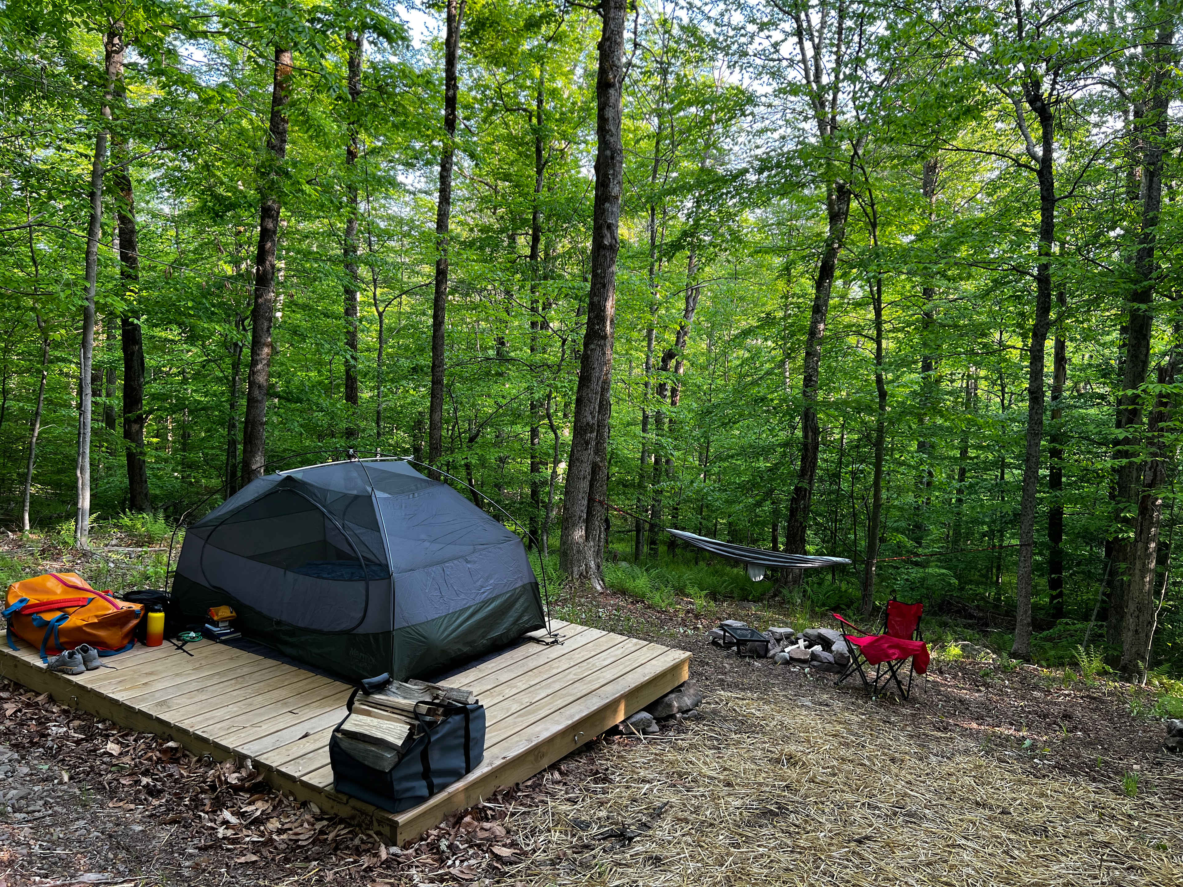 Burr Oaks Forest secluded campsites