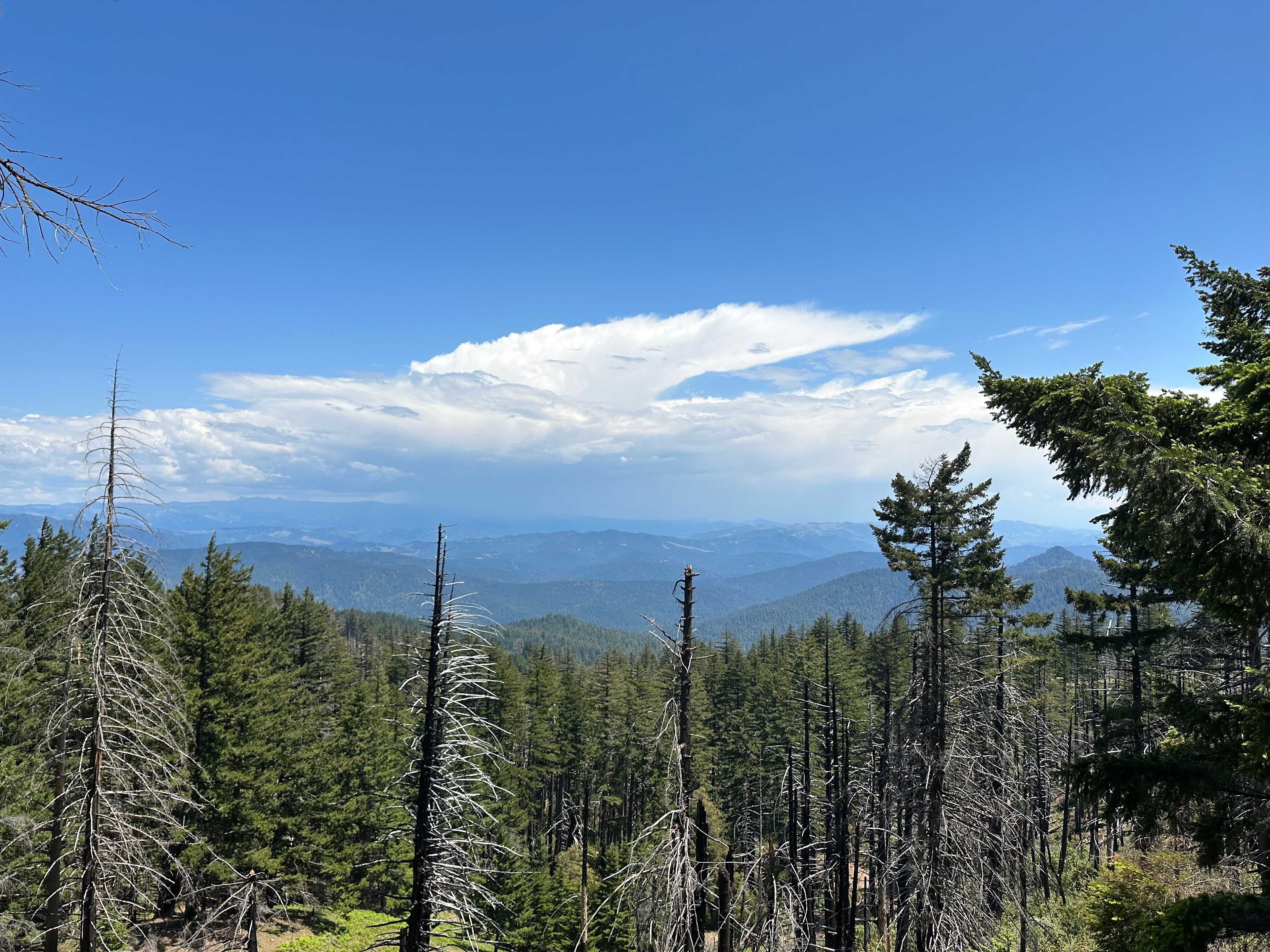 Humboldt Hills Experience
