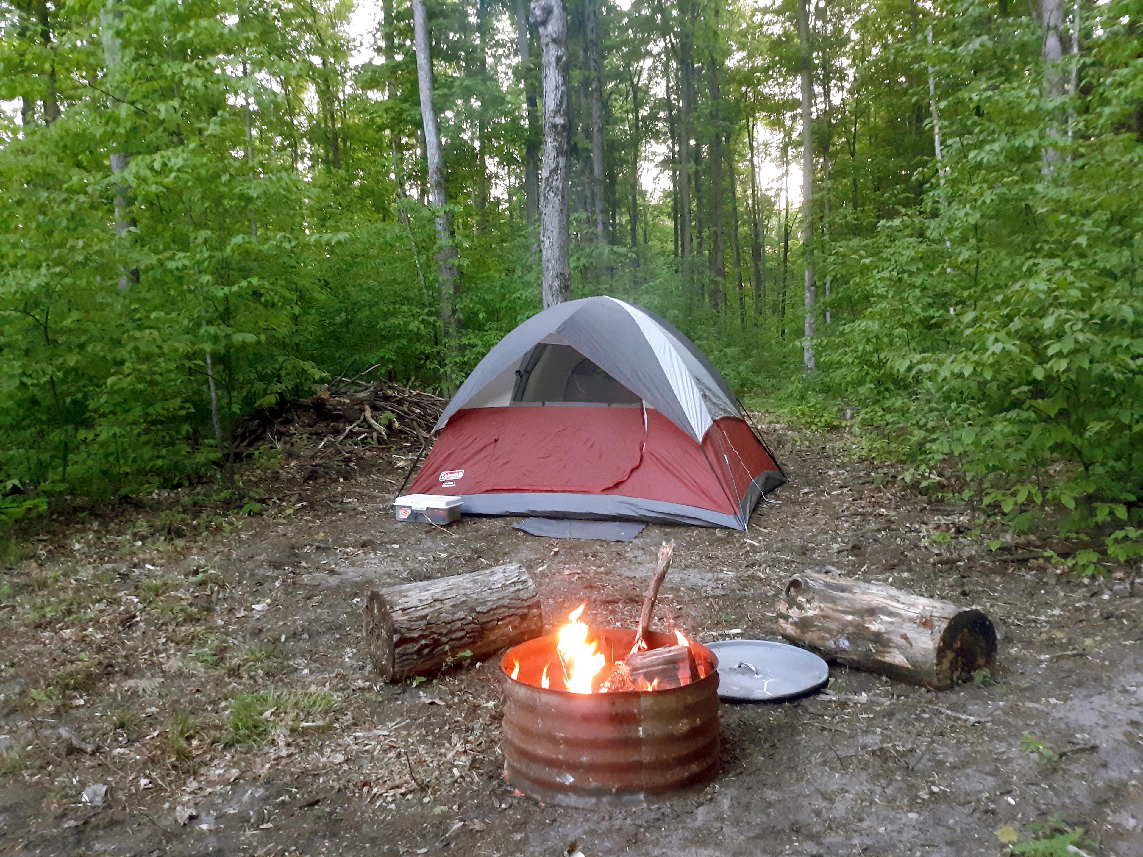 Bark Biter Farm near Rapid River