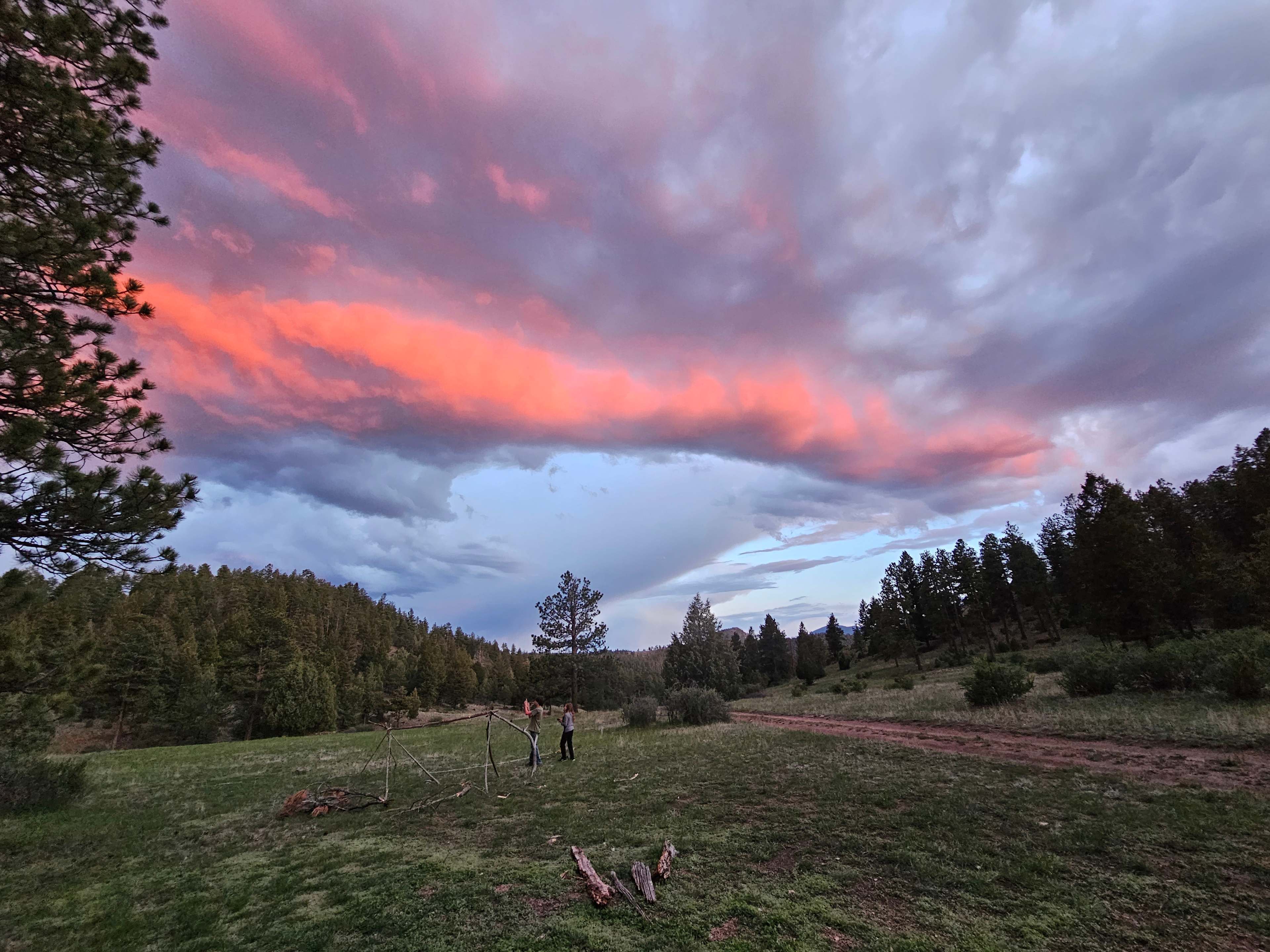 Serenity in the Foothills