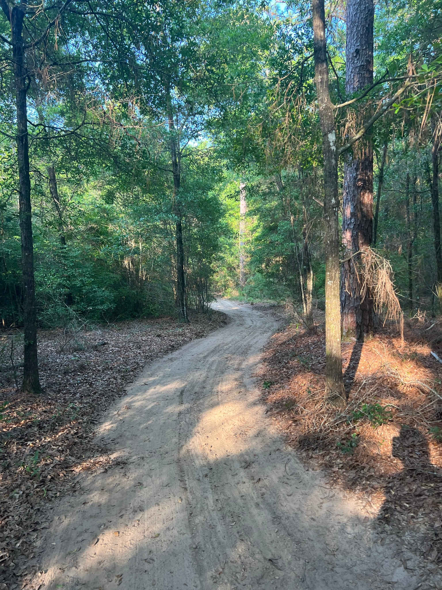Gateway Trails