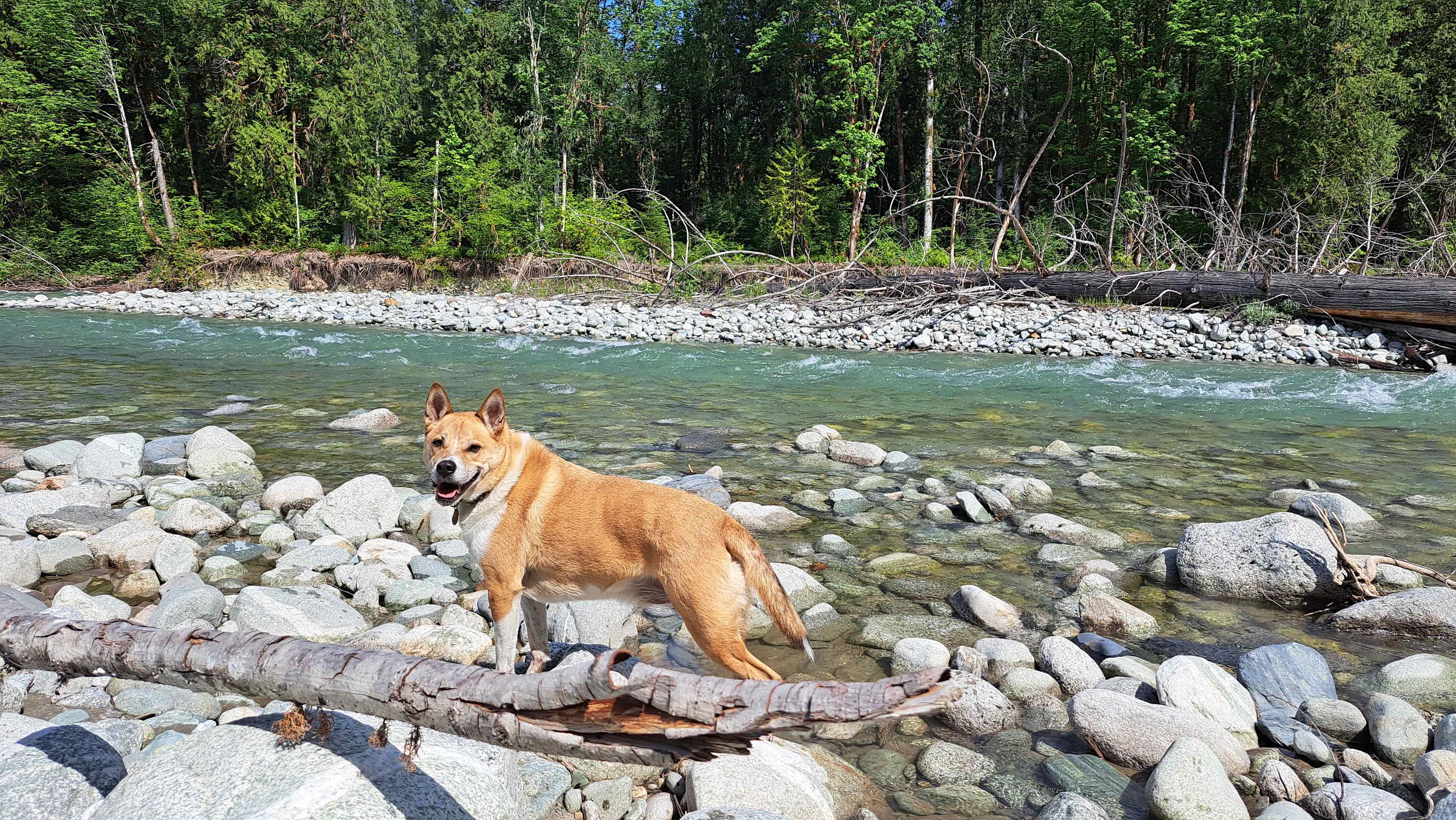 Cascade River Retreat