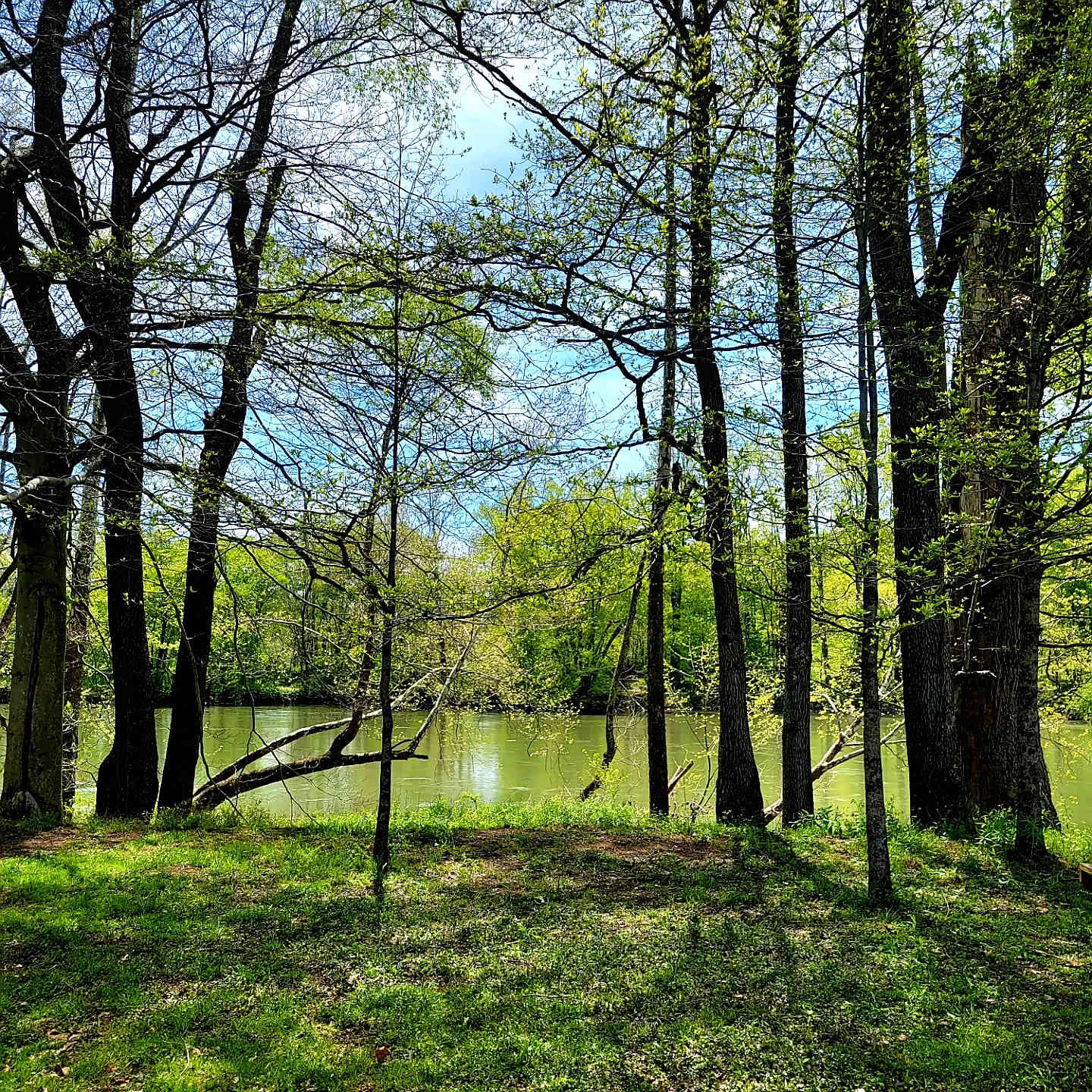 The gorgeous view from your tent! 