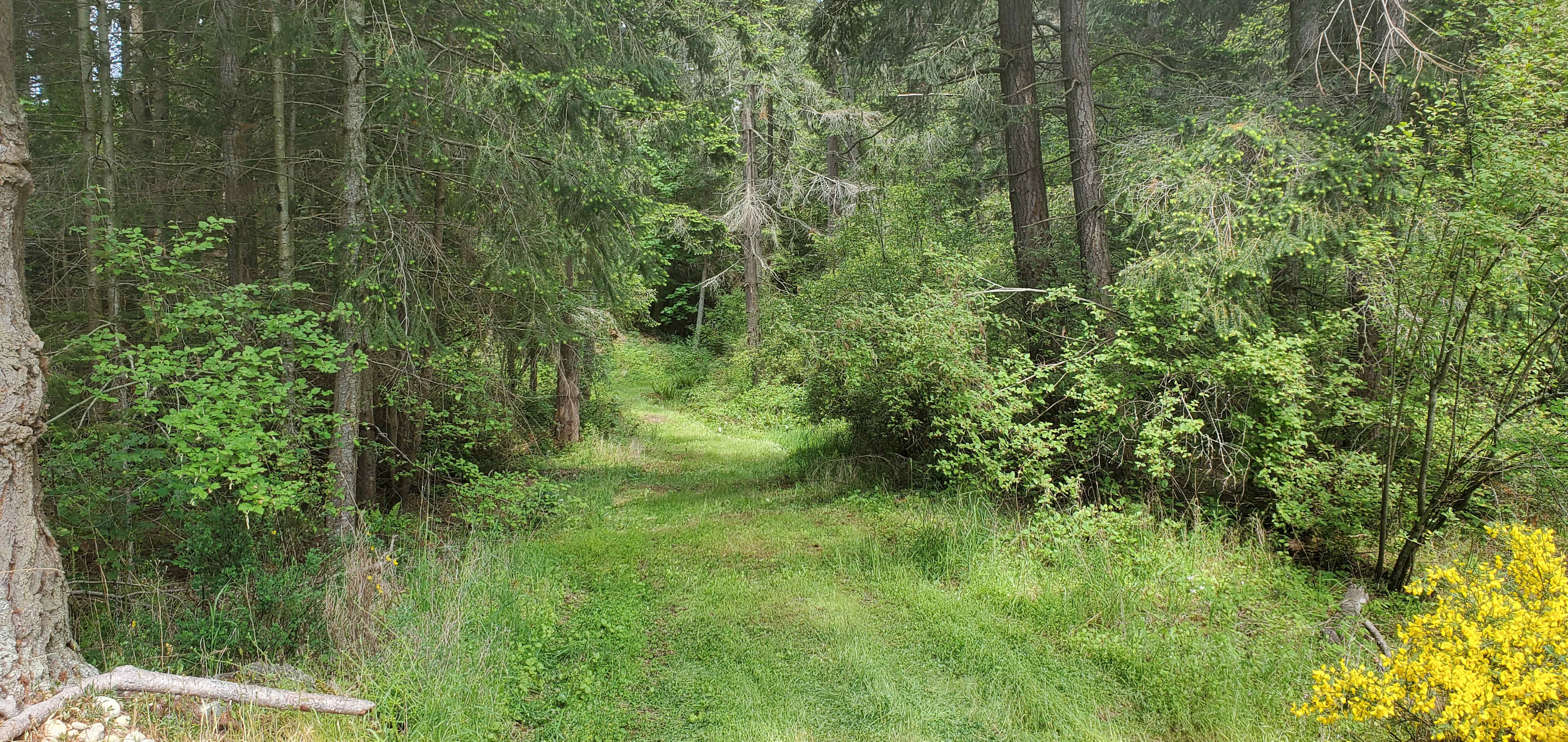 Road into the quarry campsite.