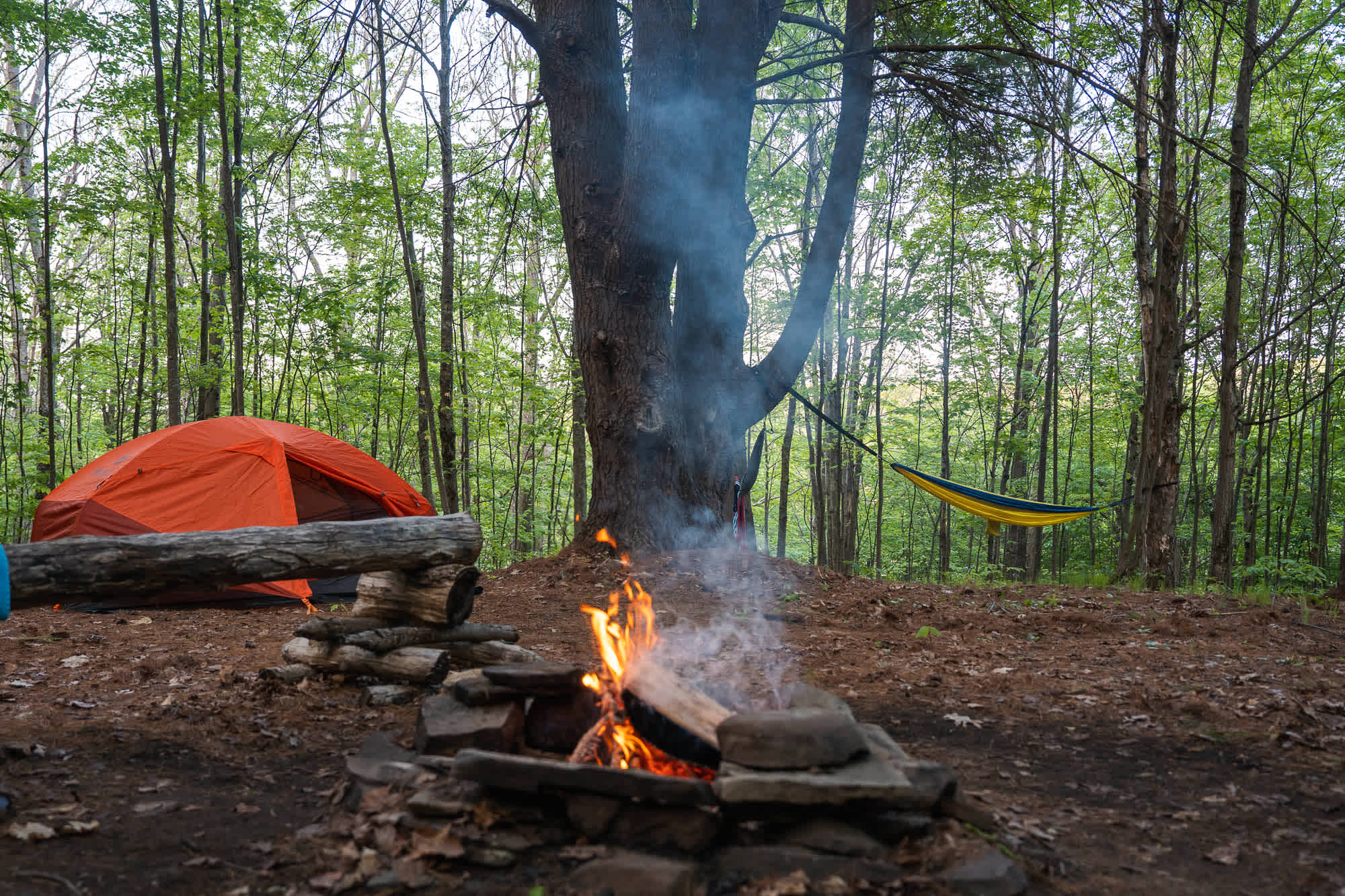 Campfire | Photo by Zak Suhar | zaksuhar.com | @zaksuhar
