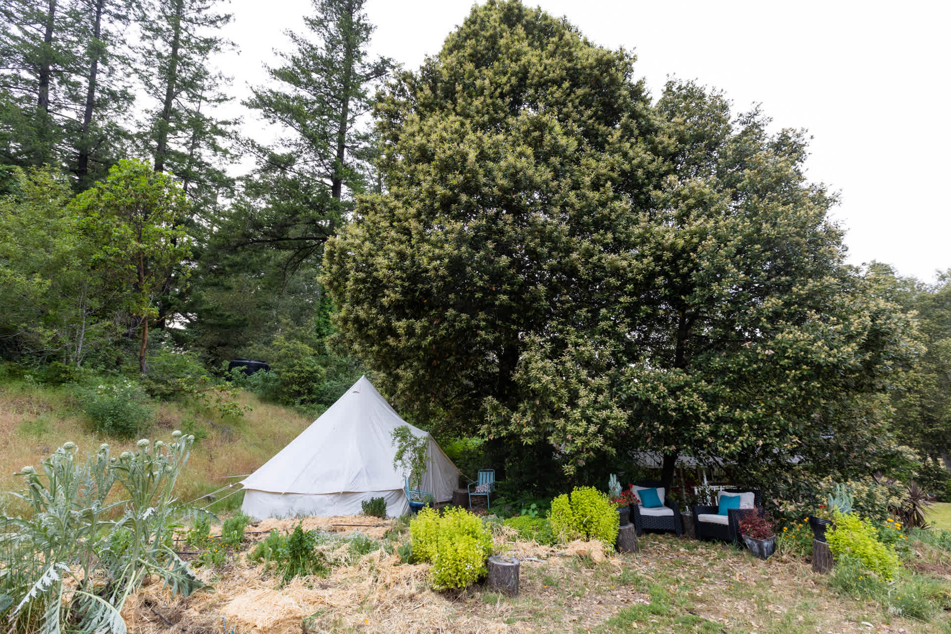 King Yurt.
