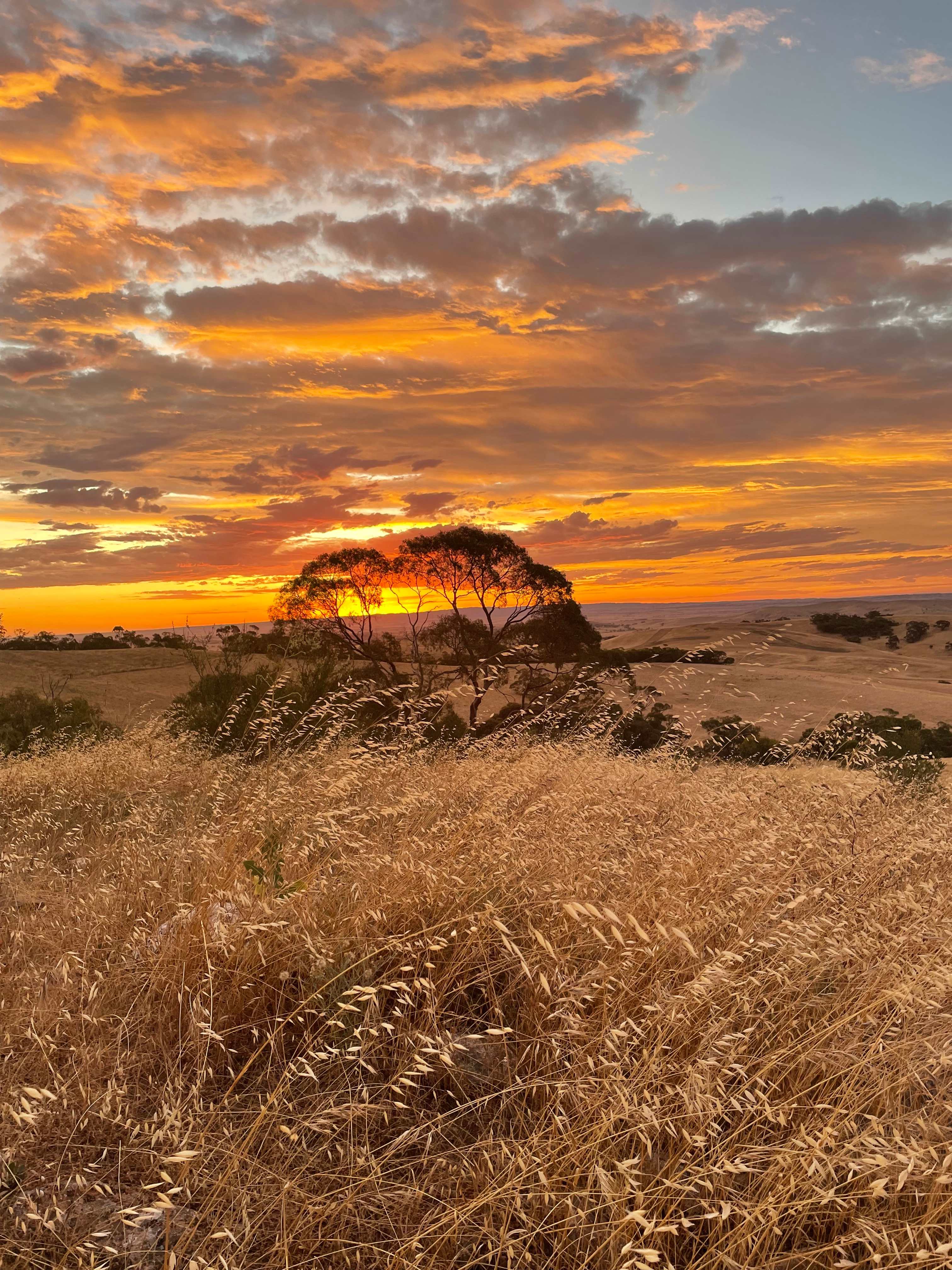 Heggies Hill Bush Camp