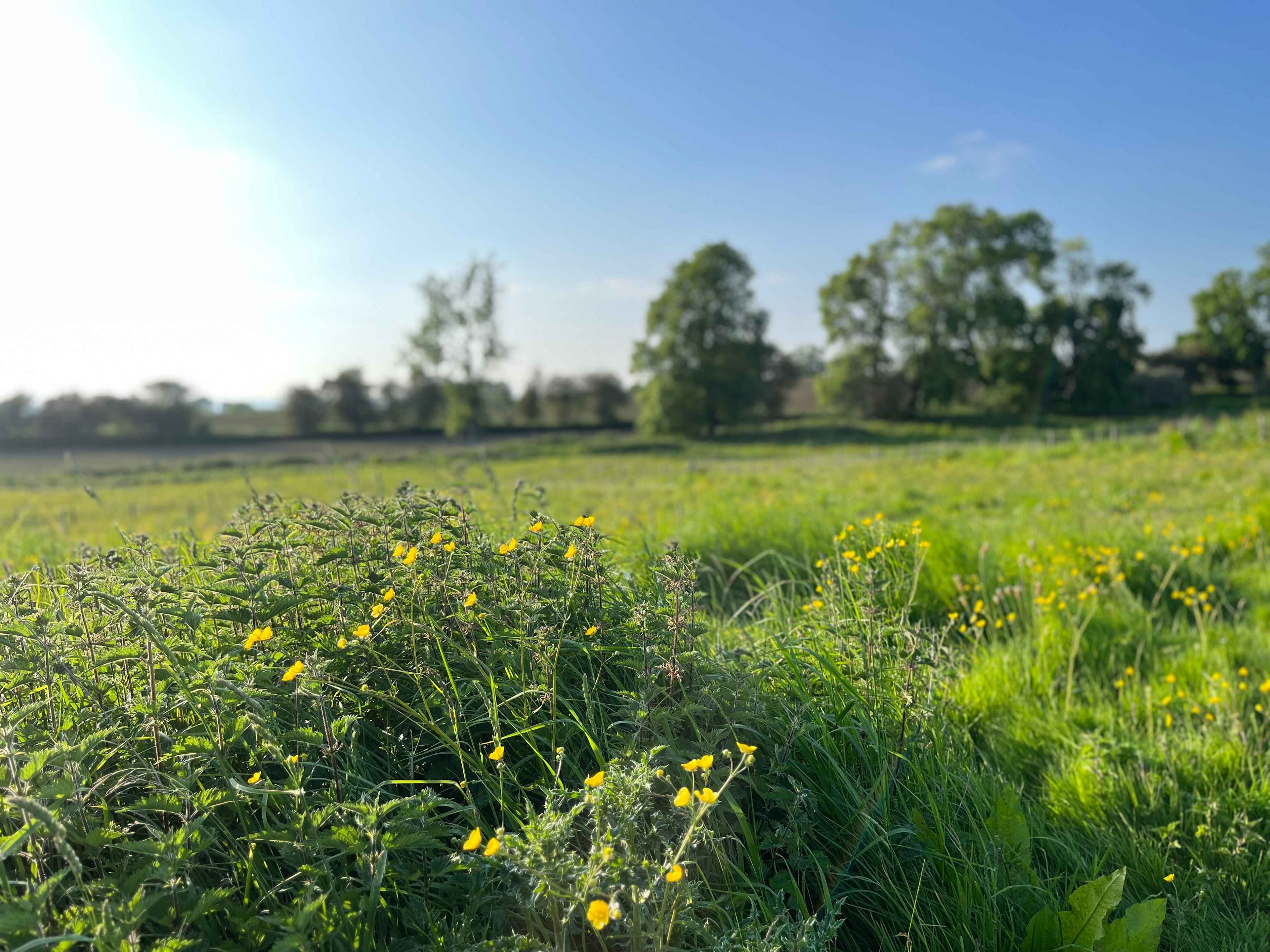 Fords Farm Glamping