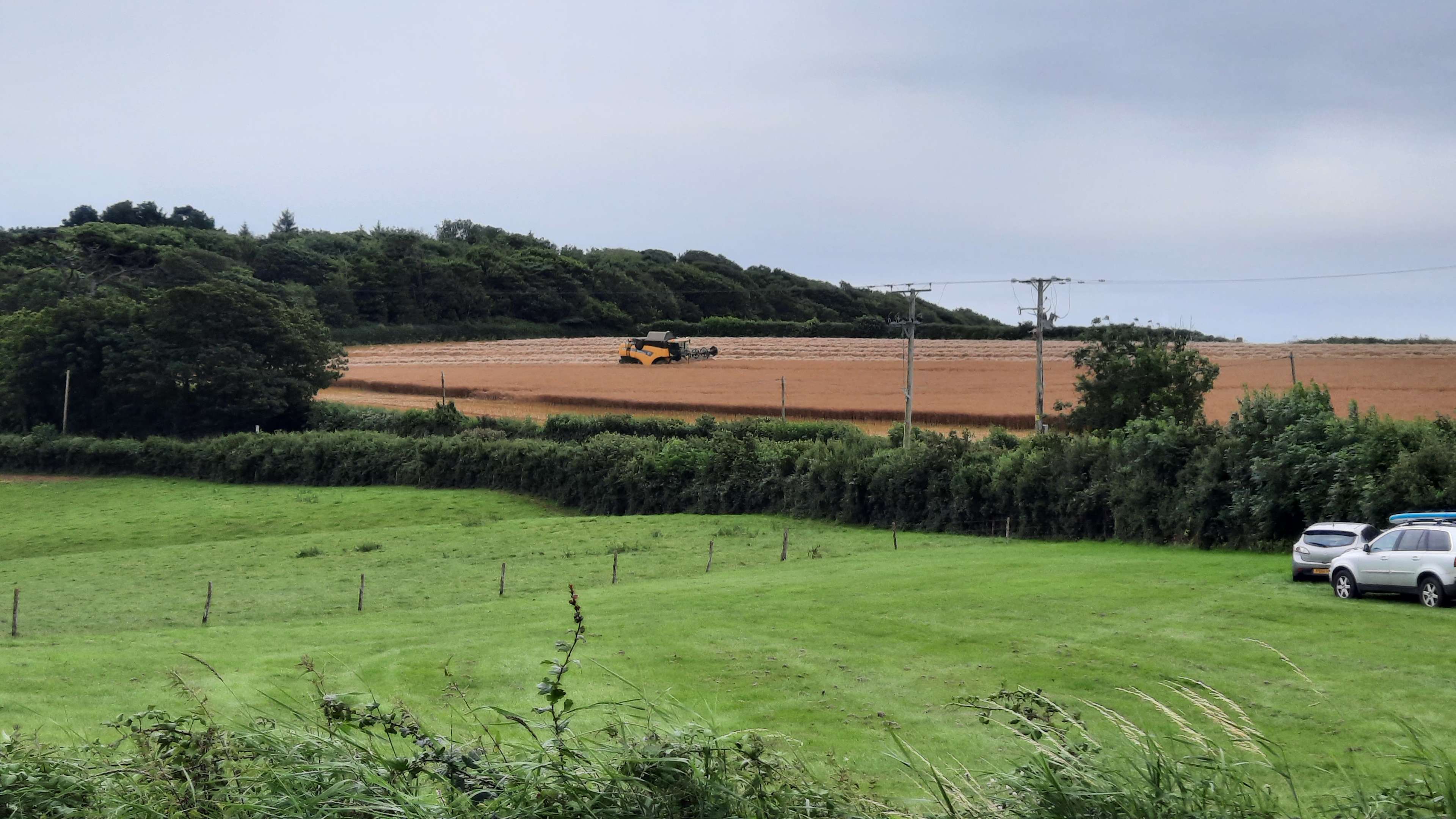 Mattiscombe Farm Camping