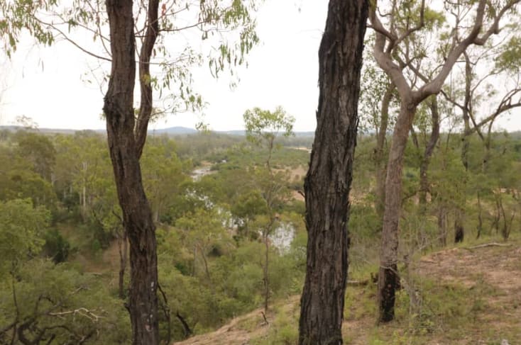 Coringa's Country Views