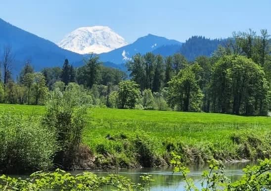Cowlitz River Rentals