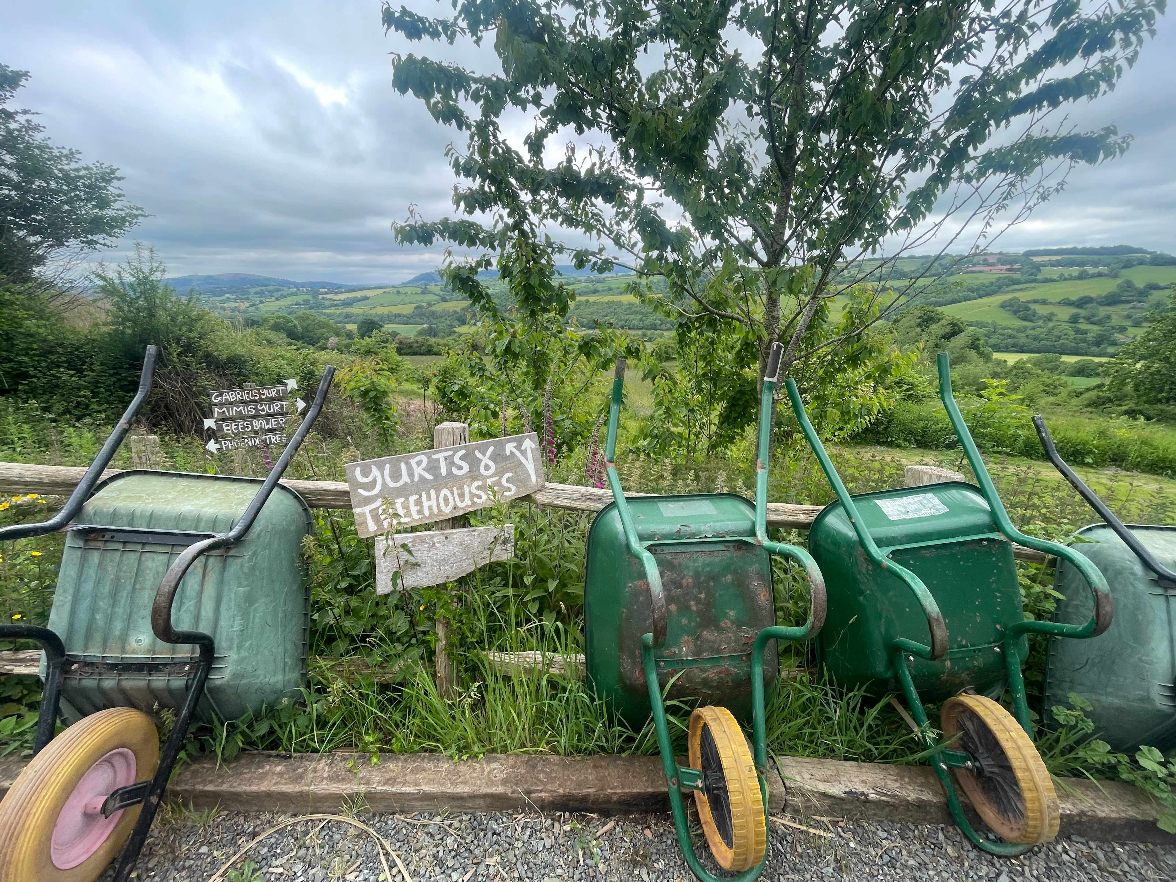 Goytree Glamping and Treehouses