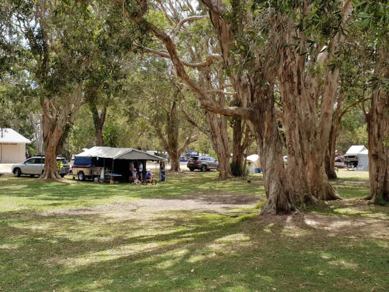 Habitat Noosa Everglades EcoCamp