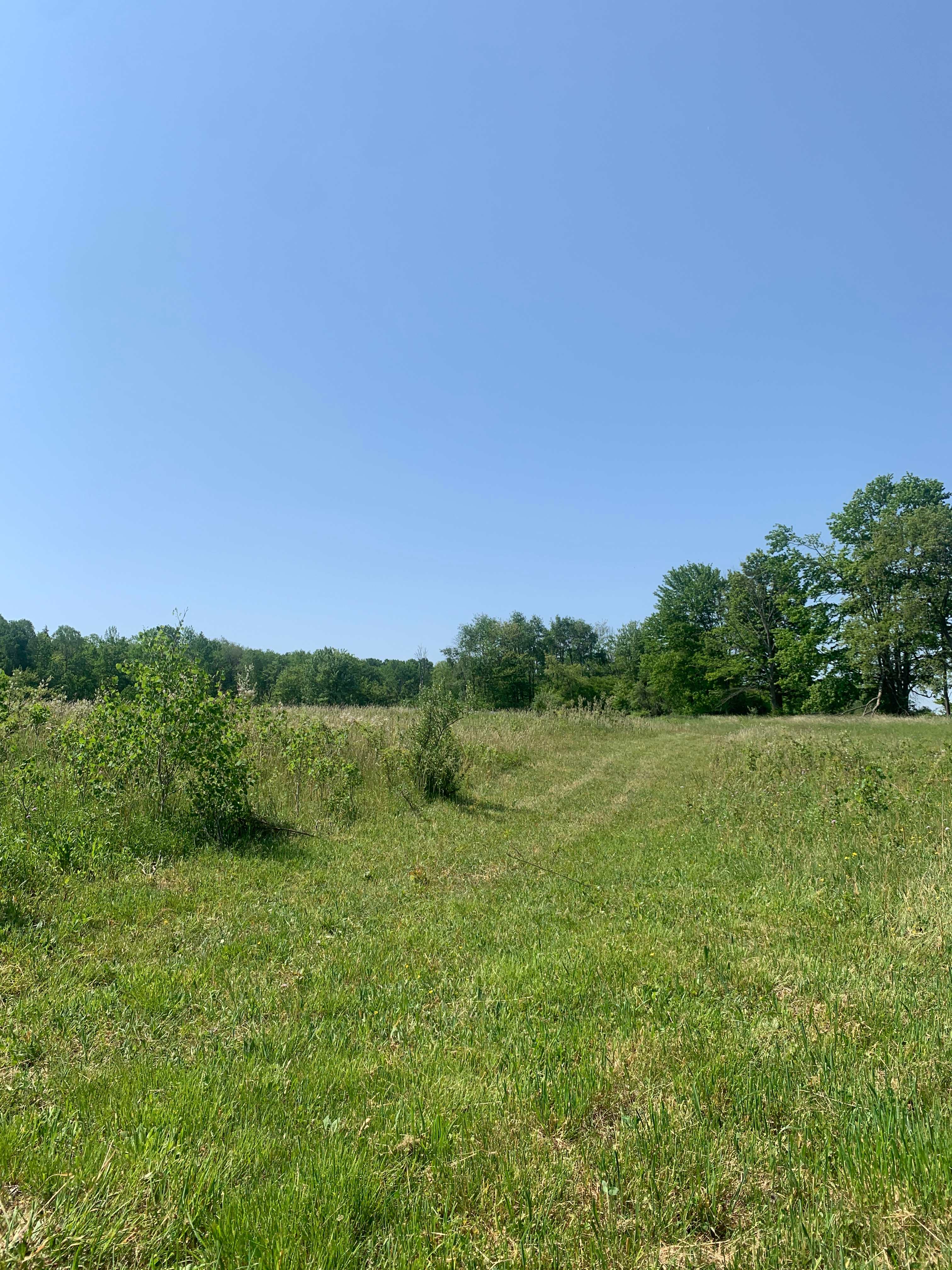Rocky bottom camp ground