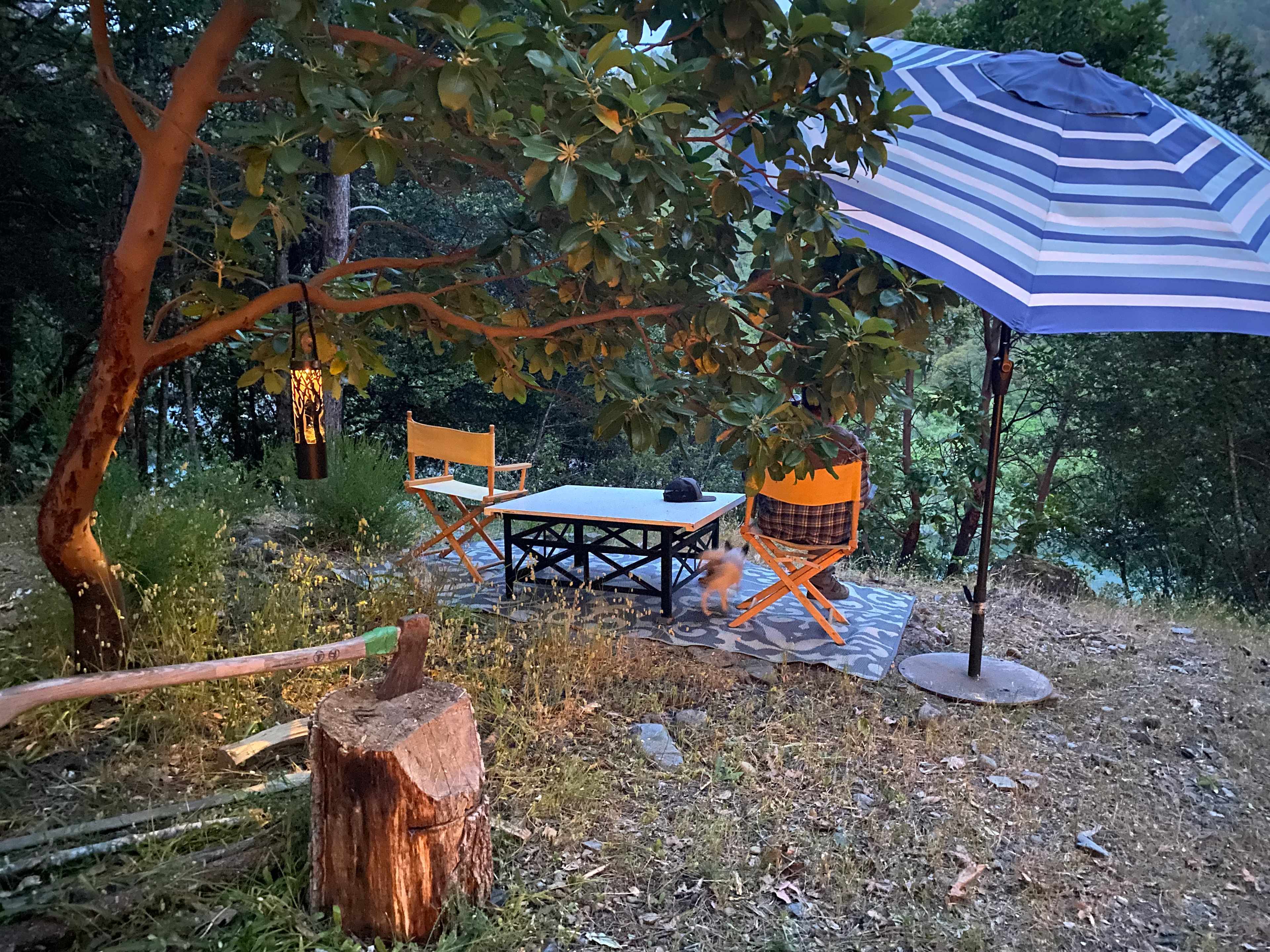 Picture of the site