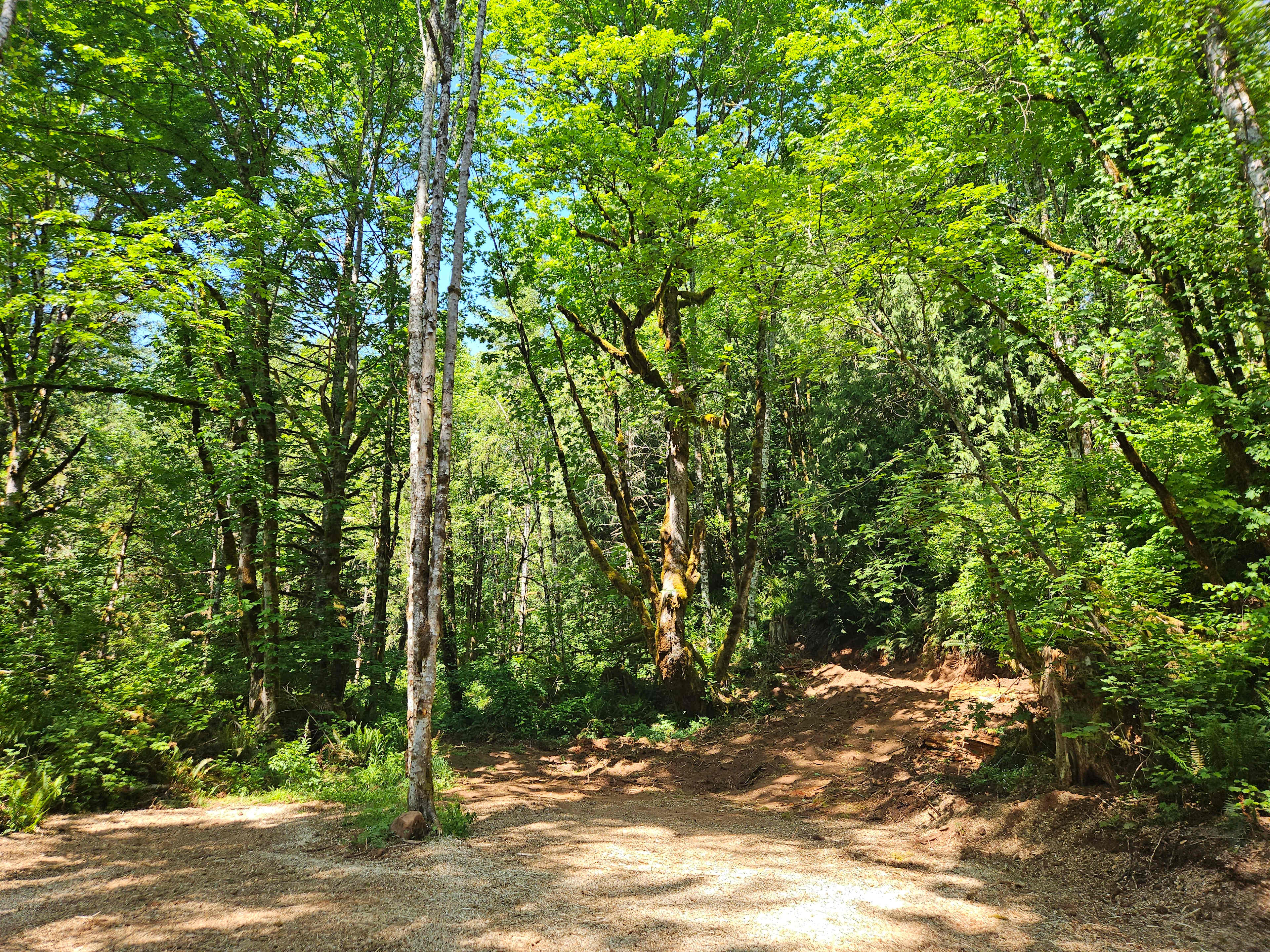 Zen Acres