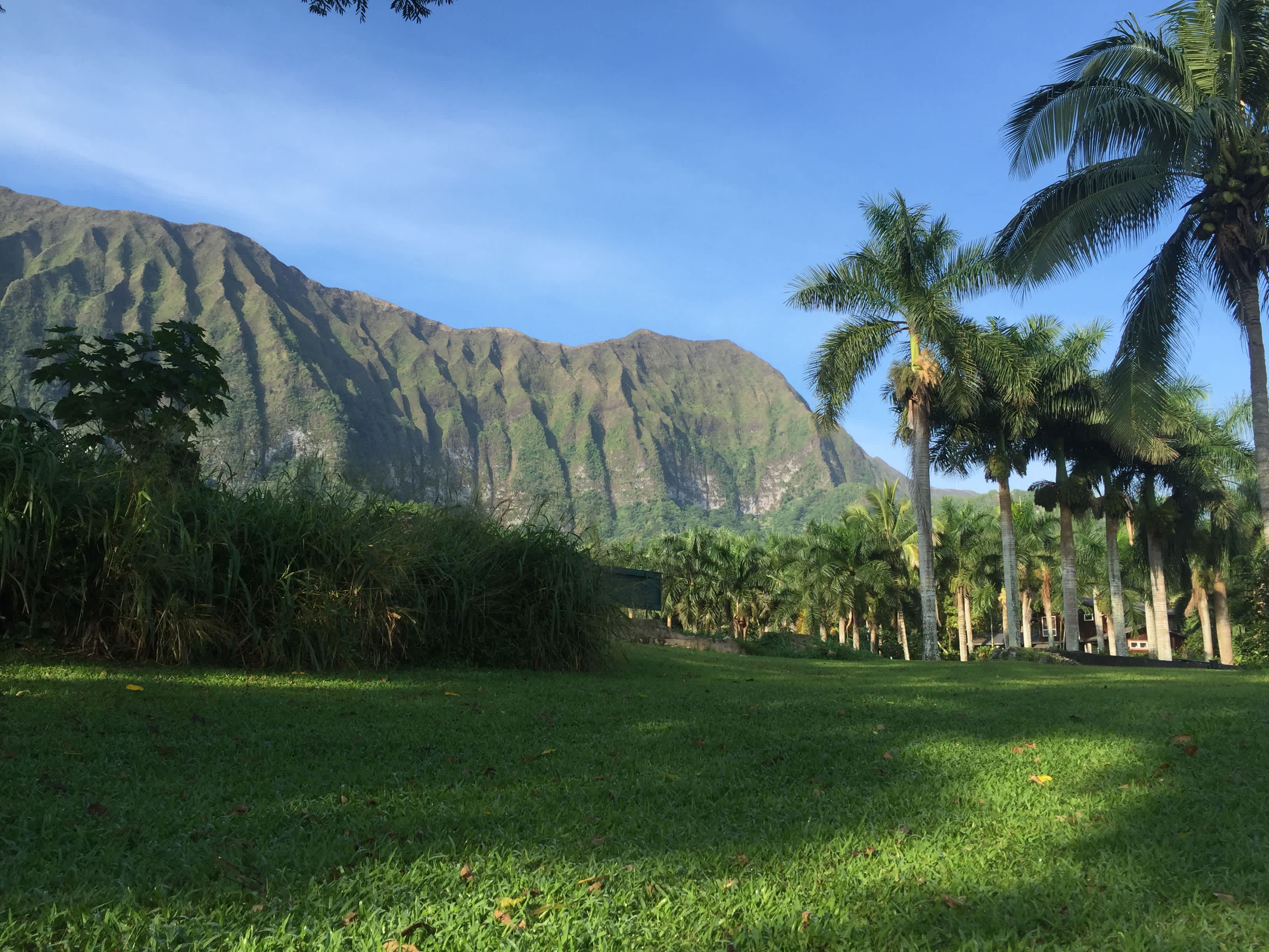 Waimanalo Farmstay