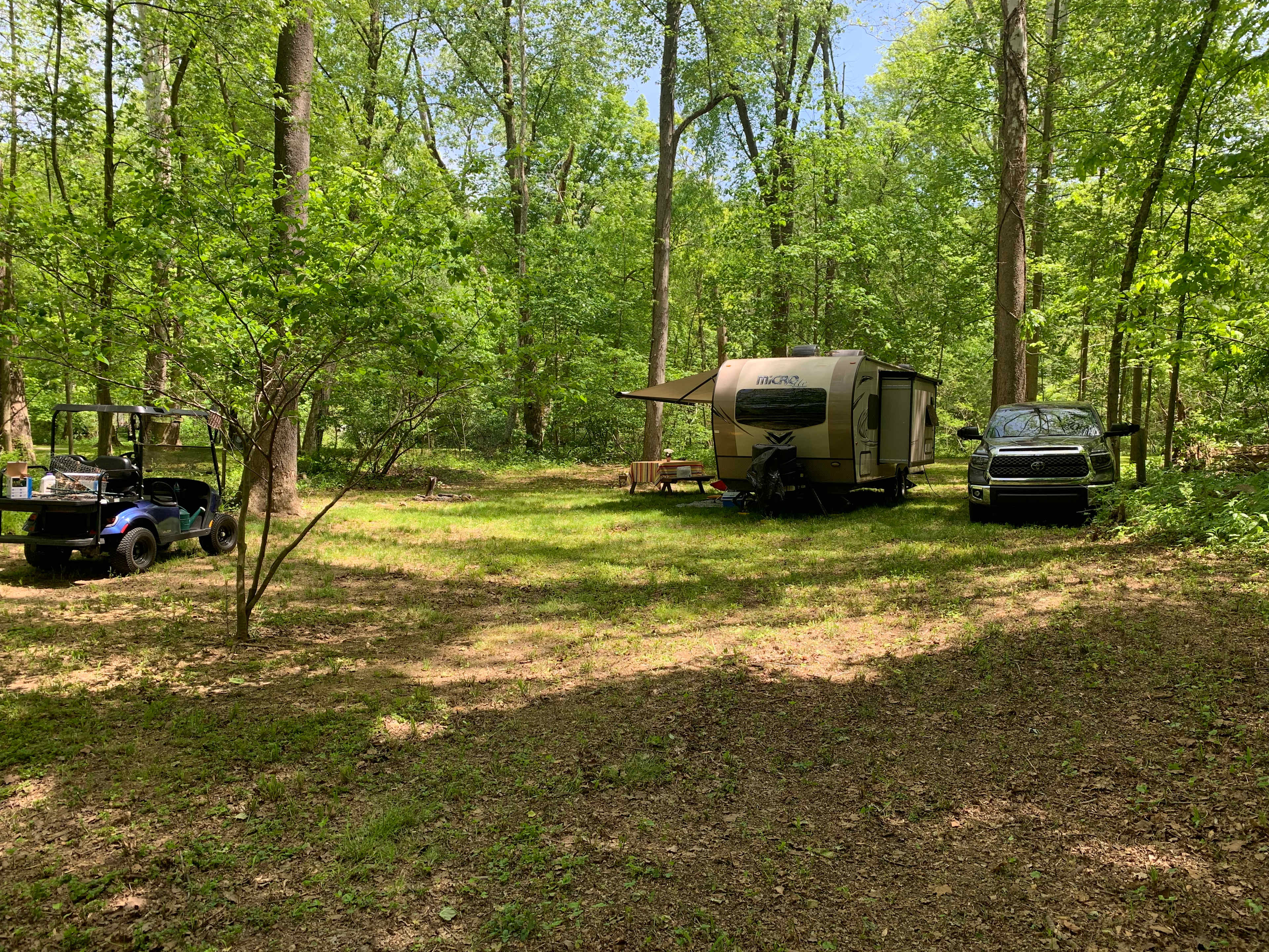 Picture of the site
